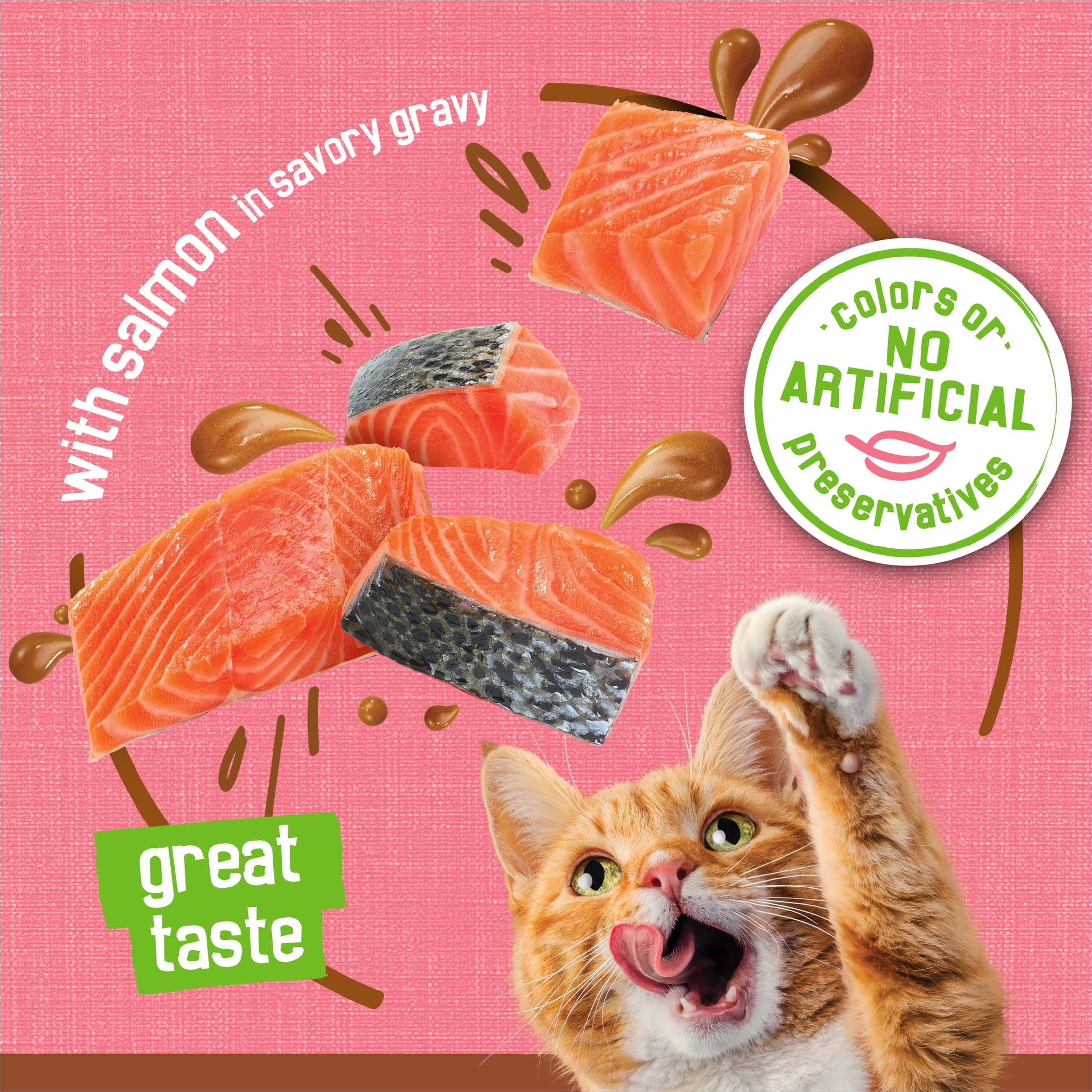 Purina Friskies Extra Gravy Pate With Salmon - Wet Cat Food, 5.5 oz Cans - 12-Pack