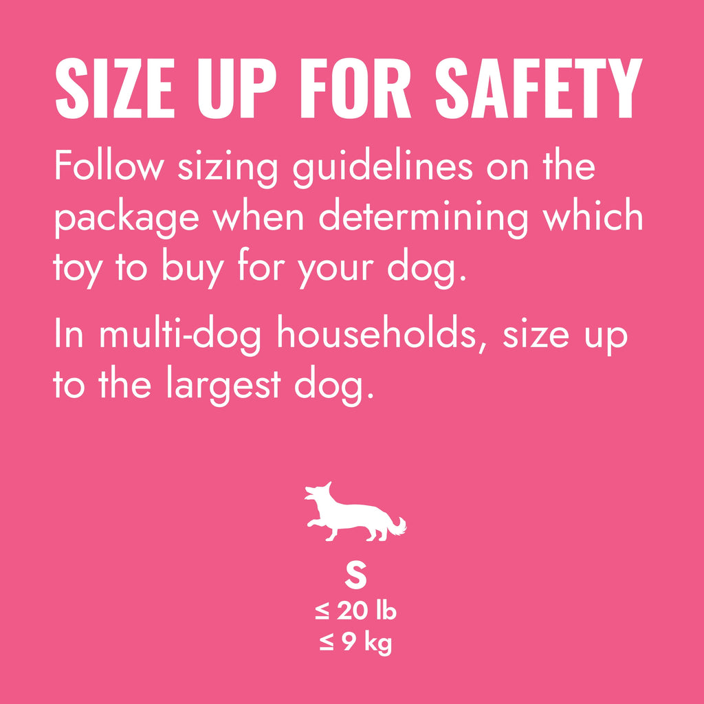 KONG® Puppy Goodie Bone for Beginner Chewers - Pink, Small for Dogs up to 20lb