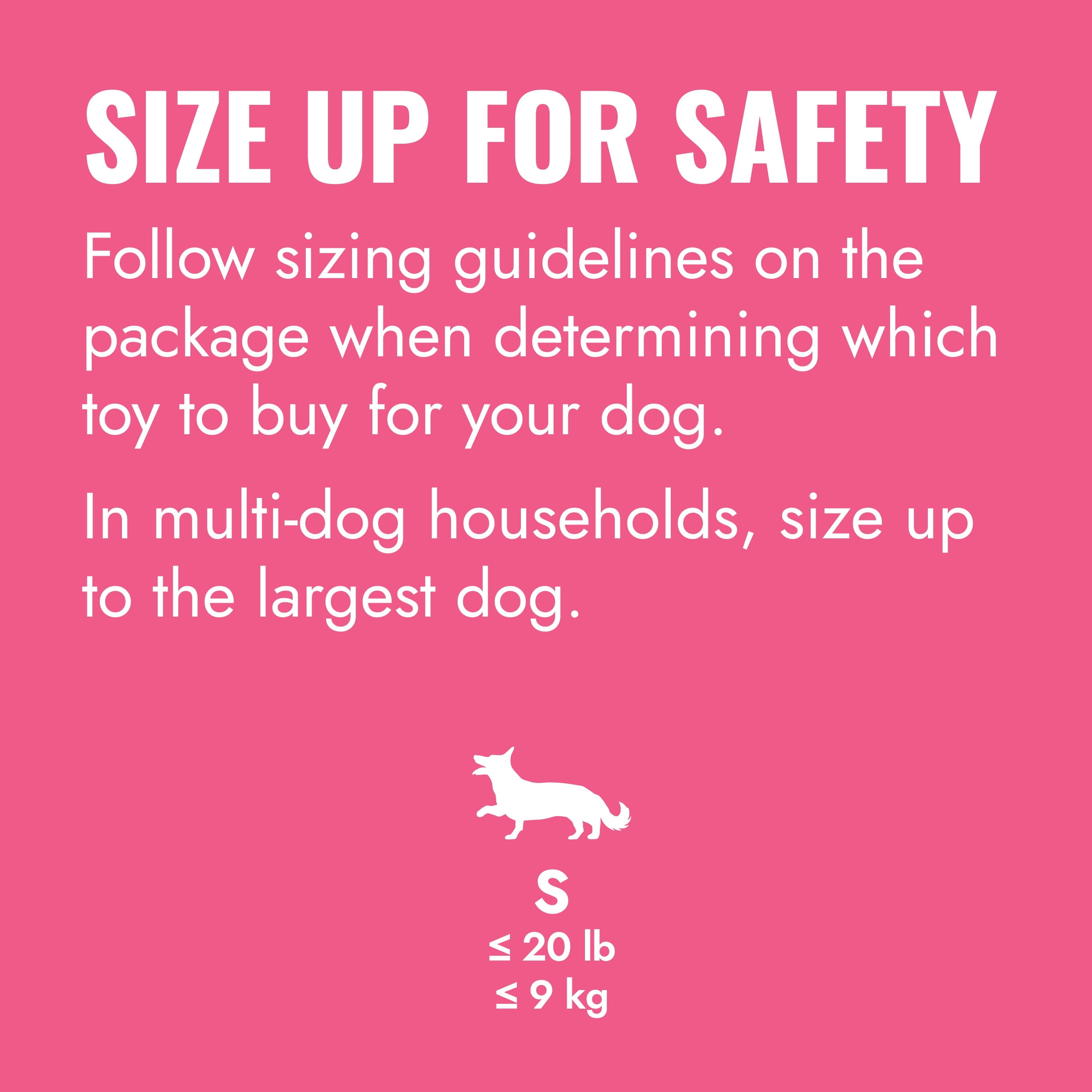 KONG® Puppy Goodie Bone for Beginner Chewers - Pink, Small for Dogs up to 20lb