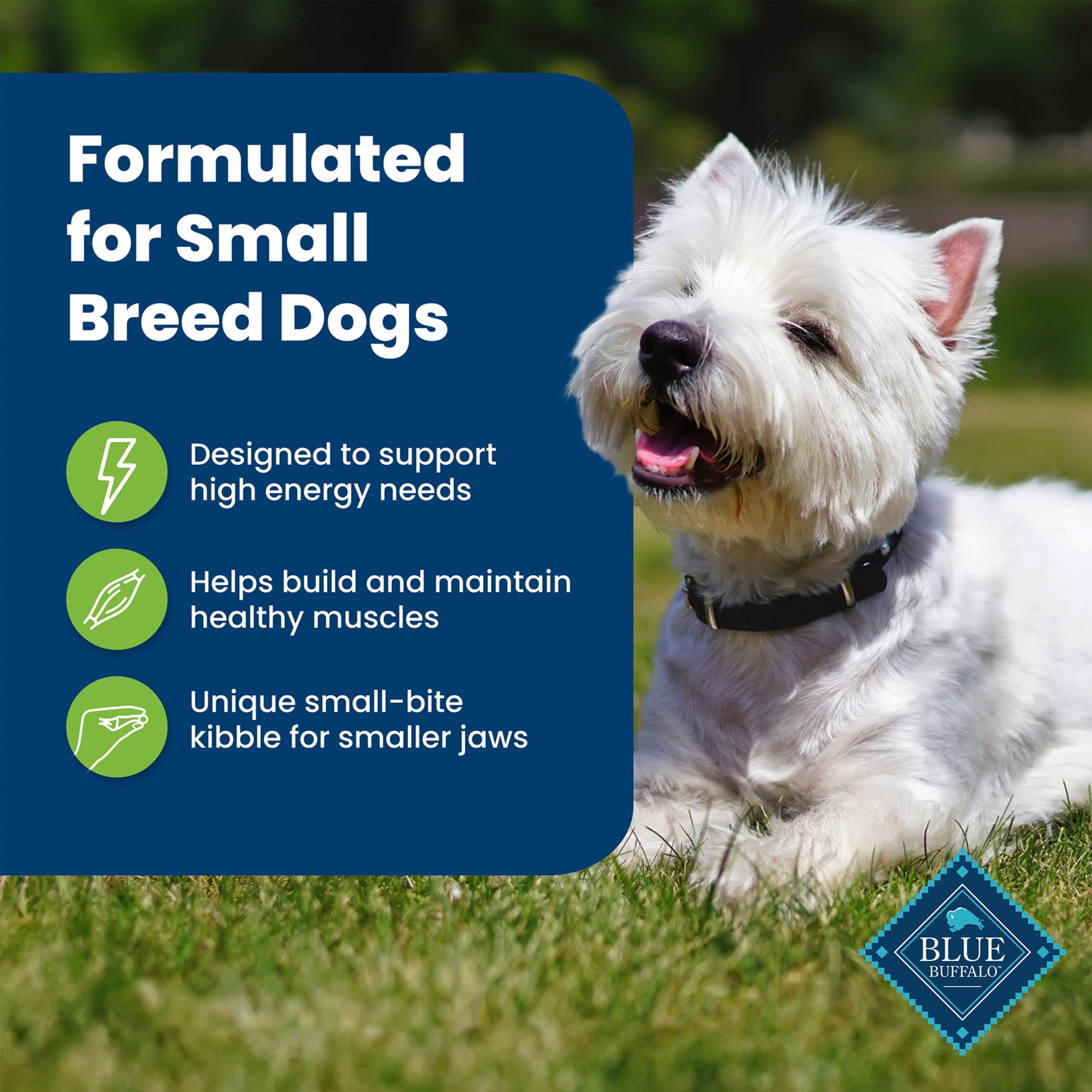 Blue Buffalo Life Protection Formula Small Breed Dry Dog Food - Lamb & Brown Rice, 15 lbs.