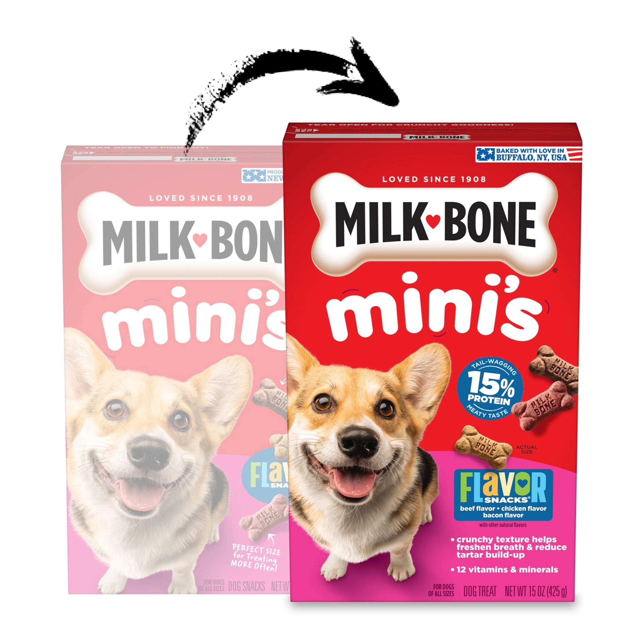 Milk Bone Flavor Snacks Mini’s Dog Biscuits - Flavored Crunchy Dog Treats, 15 oz Box