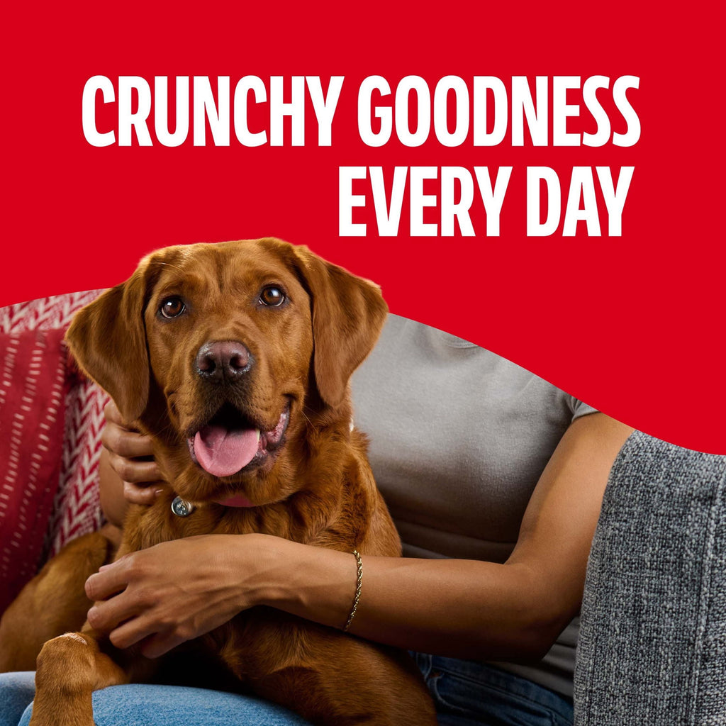 Milk Bone Flavor Snacks Large Dog Biscuits - Flavored Crunchy Dog Treats, 24 oz Box