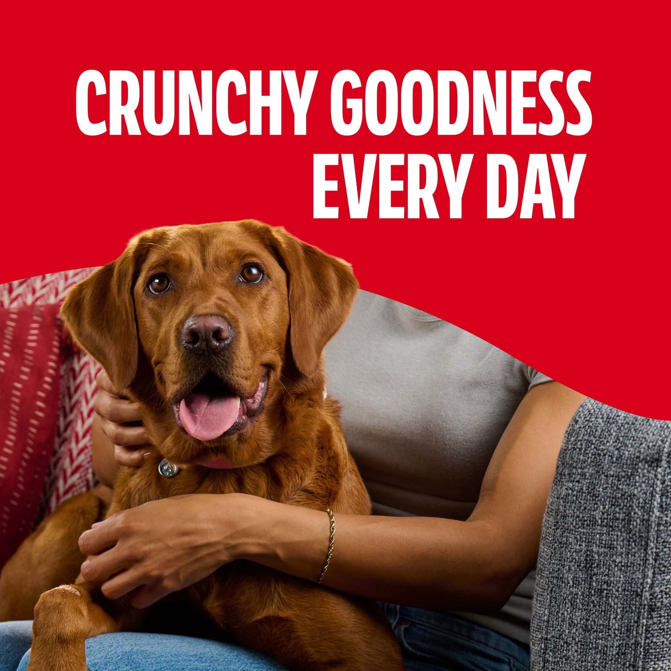 Milk Bone Flavor Snacks Large Dog Biscuits - Flavored Crunchy Dog Treats, 24 oz Box