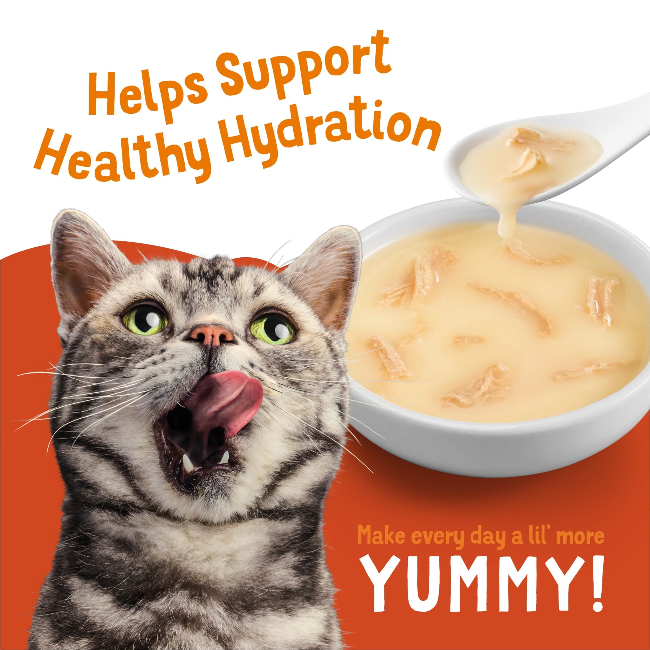 Purina Friskies Lil' Soups Salmon and Tuna for Cats Variety Pack - 1.2 oz Cups (18 Count)
