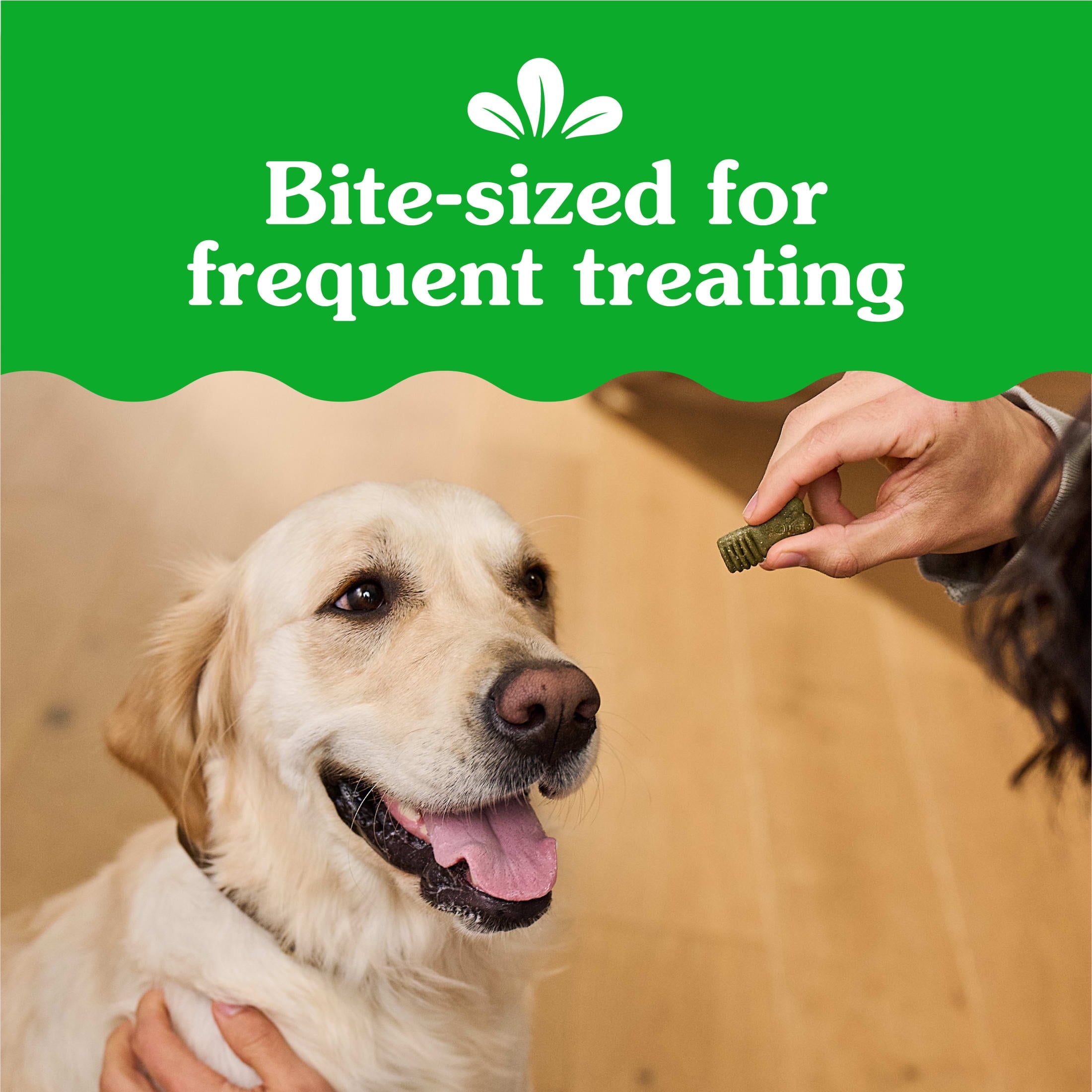 Greenies Anytime Bites Original Flavor Dog Treats - 24 oz Bag