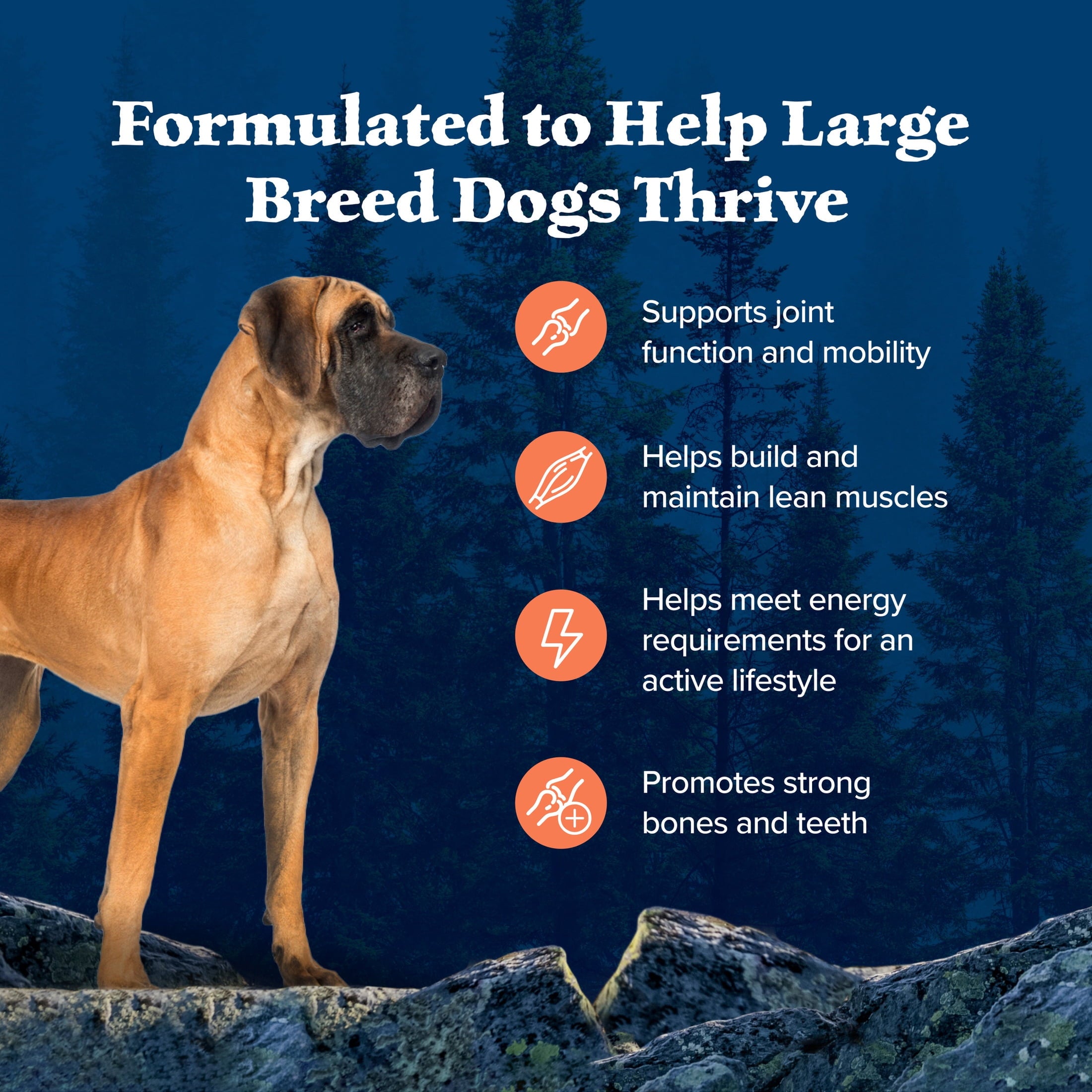 Blue Buffalo Wilderness High-Protein Adult Large Breed Dry Dog Food - Chicken, 28-lb.