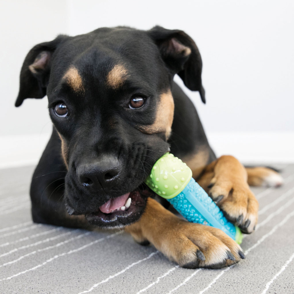 KONG® CoreStrength Bone - Small/Medium, for Dogs Between 15-30 lbs