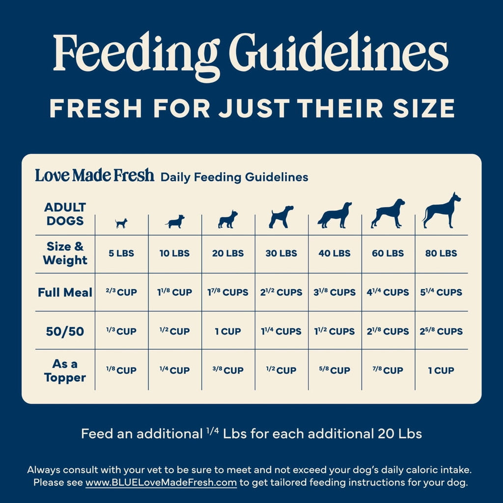 Blue Buffalo Love Made Fresh Dog Food - Refrigerated, Chunky Beef Stew, 1-lb Tub - 6-Pack