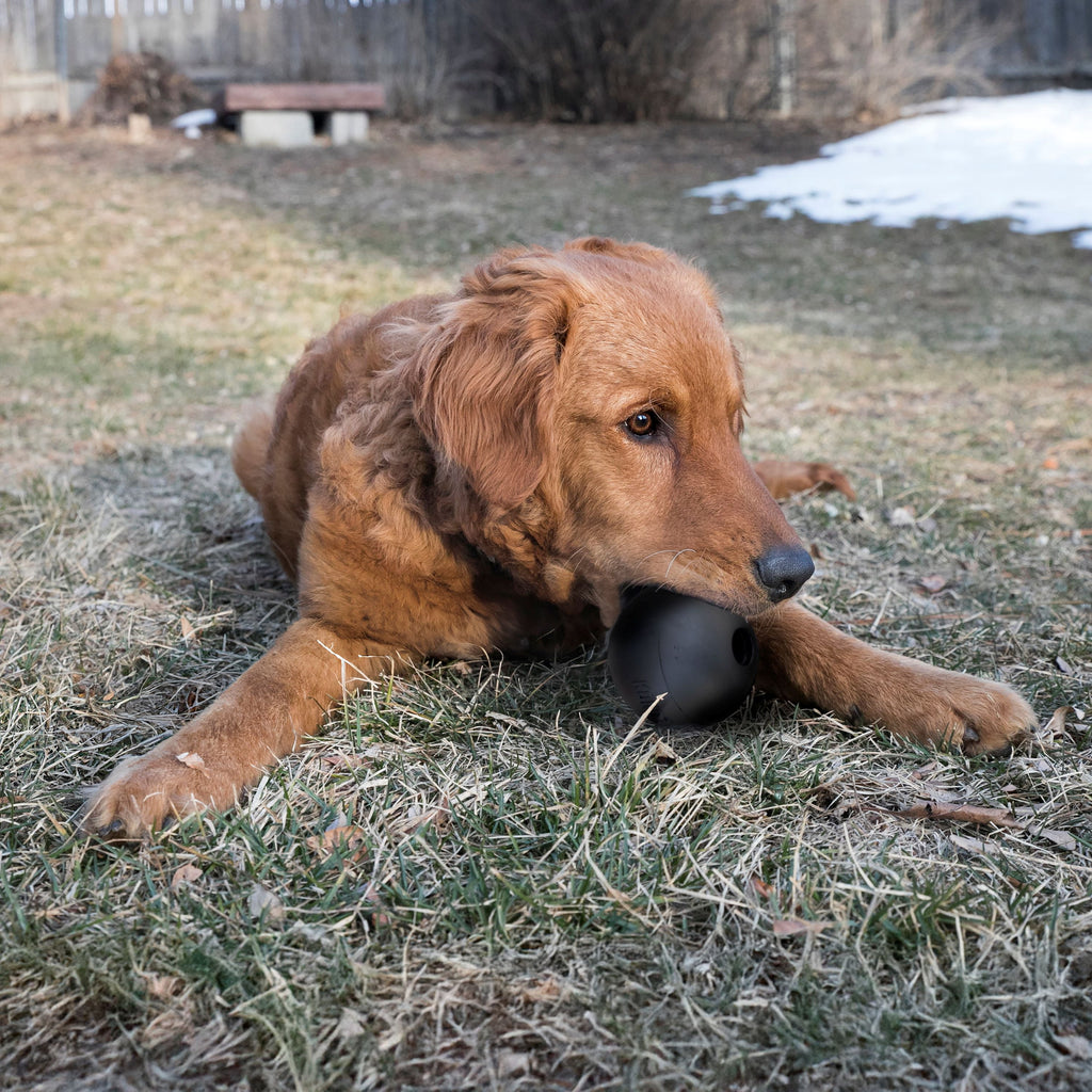 KONG® Extreme Ball Puncture Resistant Dog Toy for Power Chewers - Small, for Dogs Up to 20 lbs