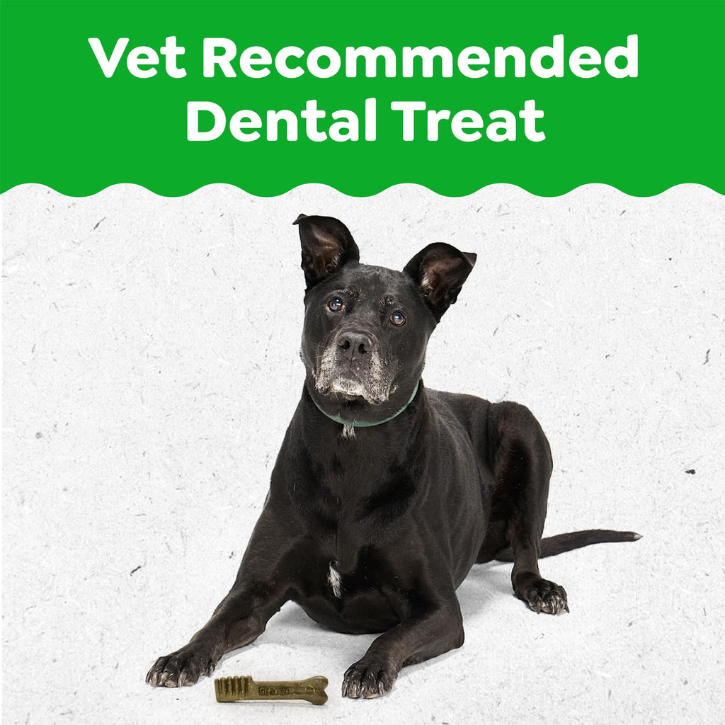 Greenies Aging Care Adult Natural Dental Dog Treats Regular Size - 27 oz Pack (27 Count)