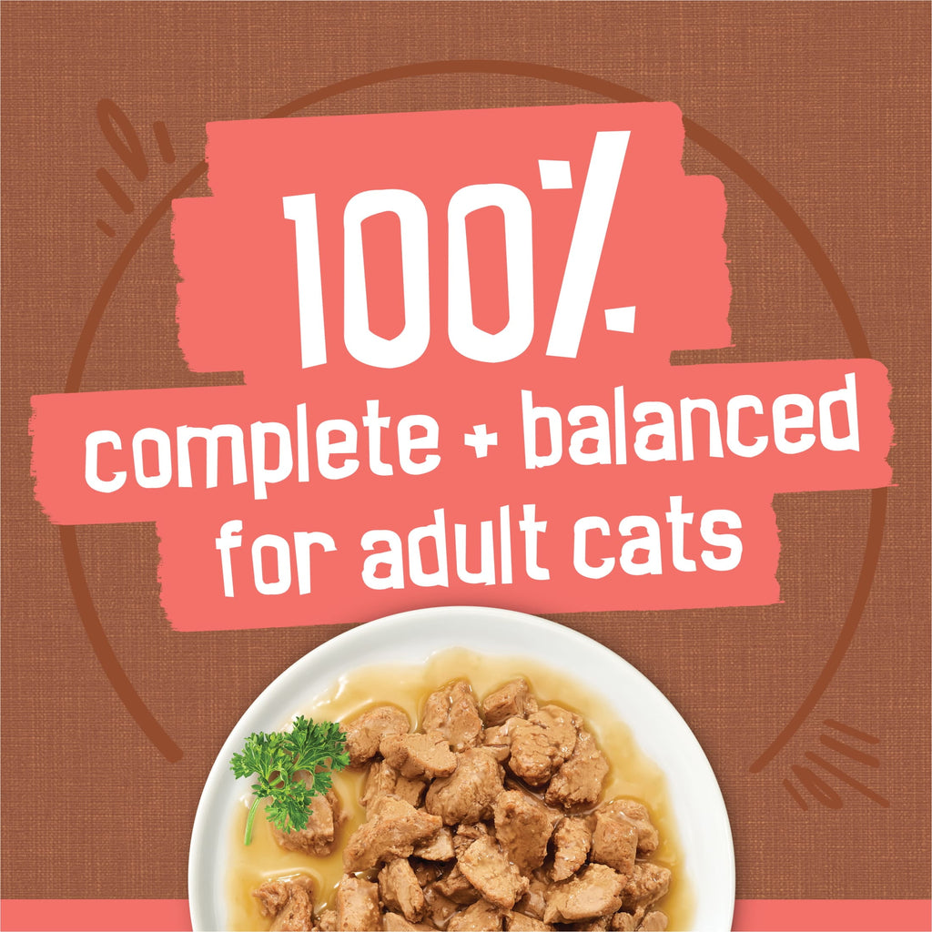 Purina Friskies Extra Chunky Gravy Variety Pack - Wet Cat Food, 5.5 oz Cans - 2-Pack