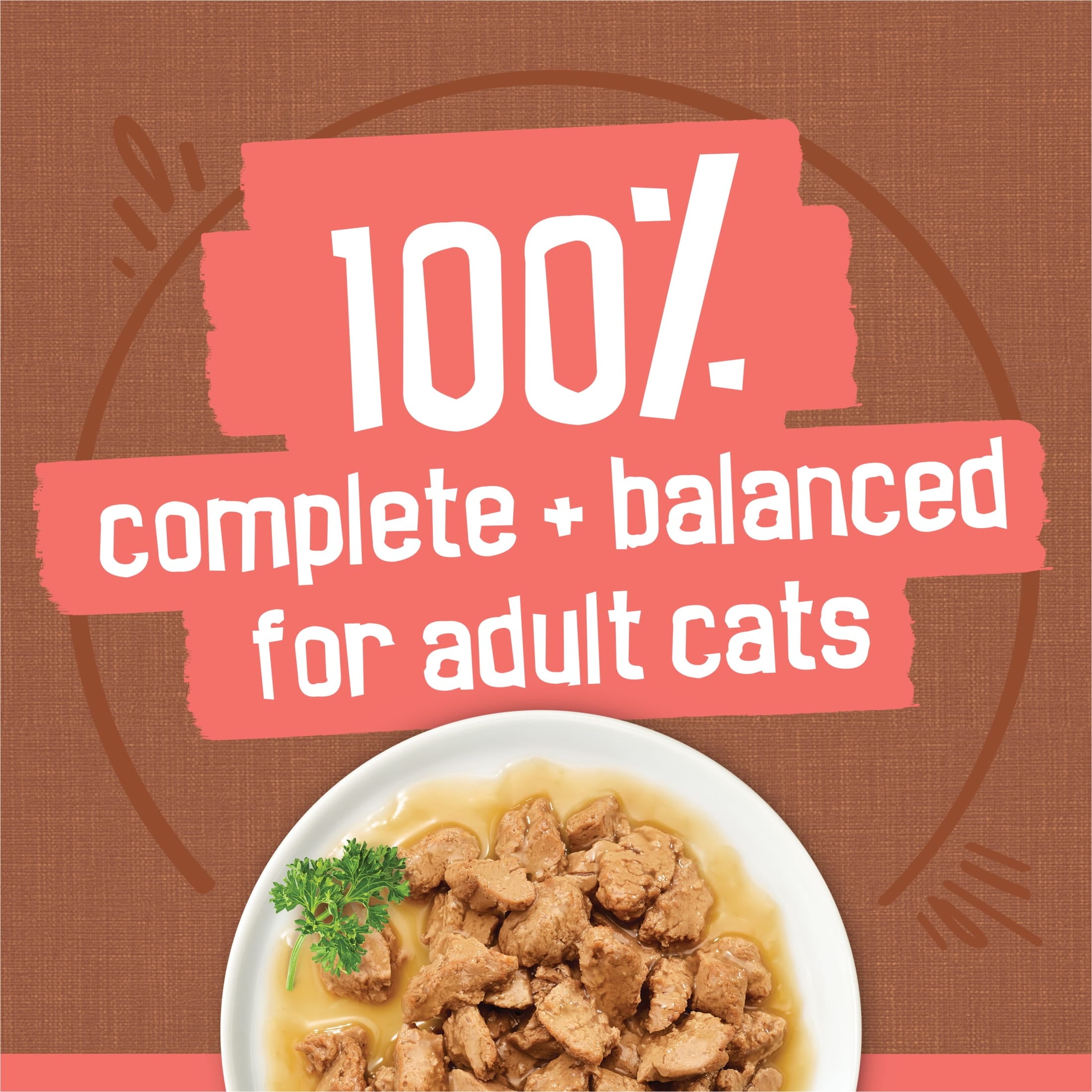 Purina Friskies Extra Chunky Gravy Variety Pack - Wet Cat Food, 5.5 oz Cans - 2-Pack