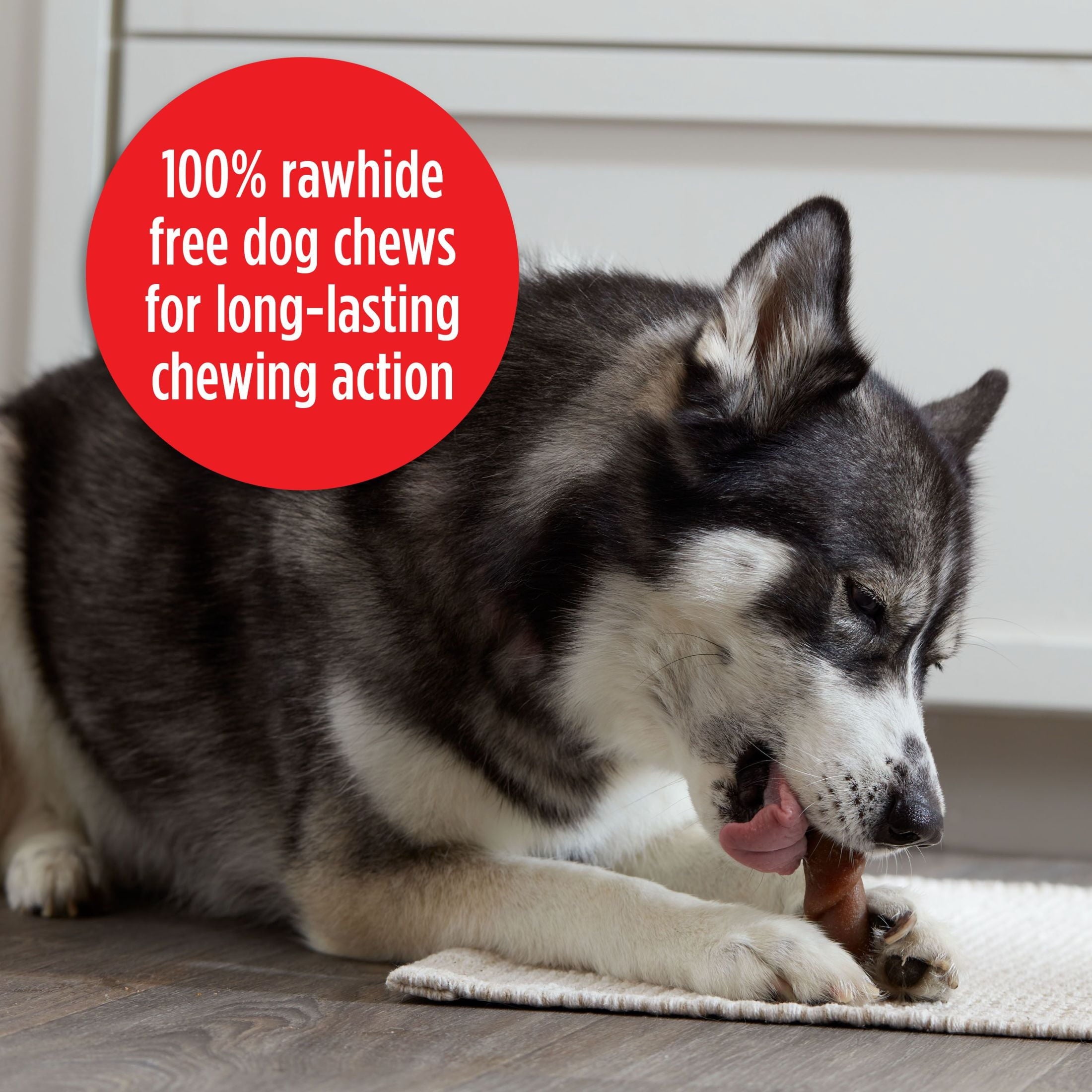 Milk Bone Flavor Rolls Beefy Cheesy - Yes Please y! Rawhide Free Dog Treat With Beef, 5 Count Bag