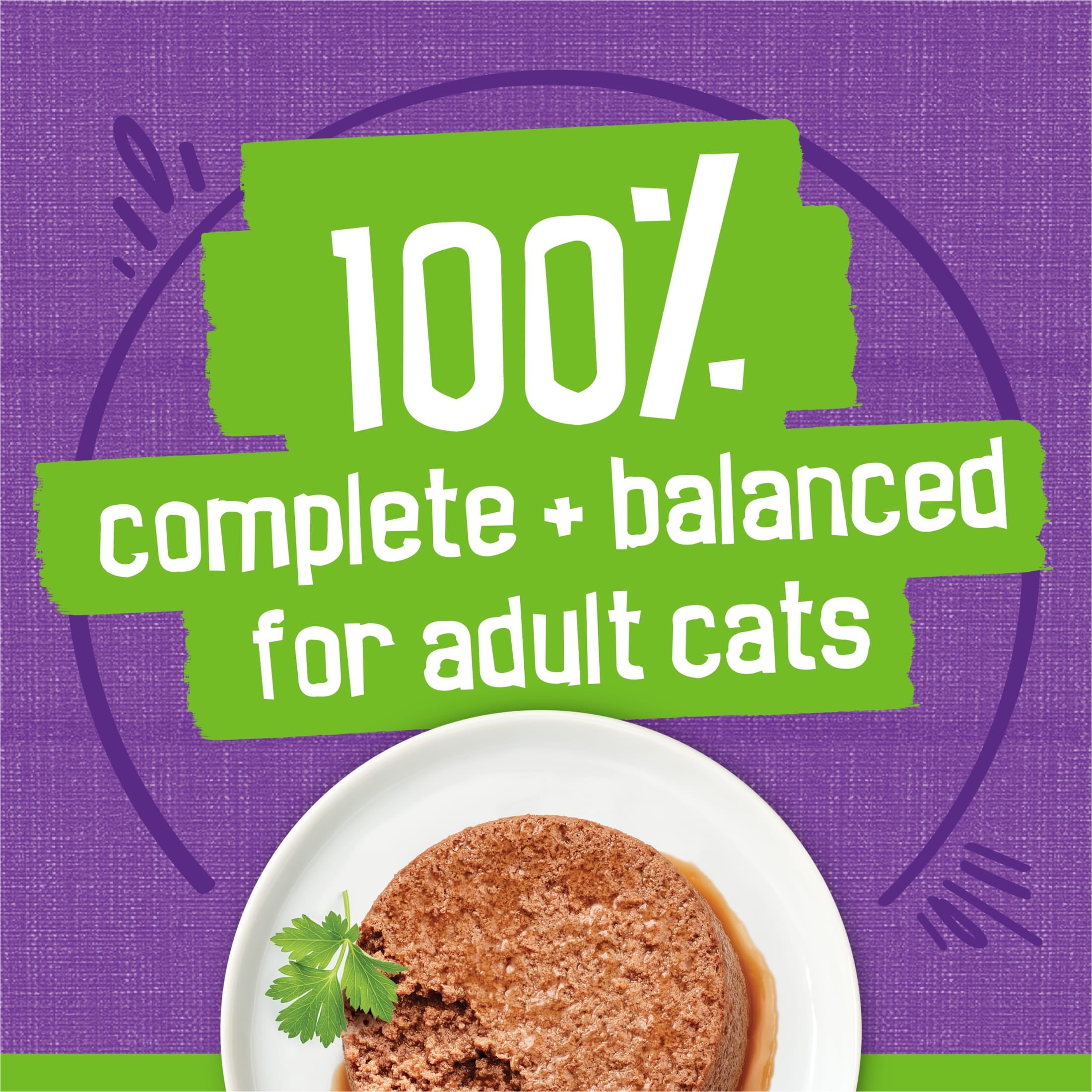 Purina Friskies Turkey and Giblets Flavor Pate Wet Cat Food - 5.5 oz Can