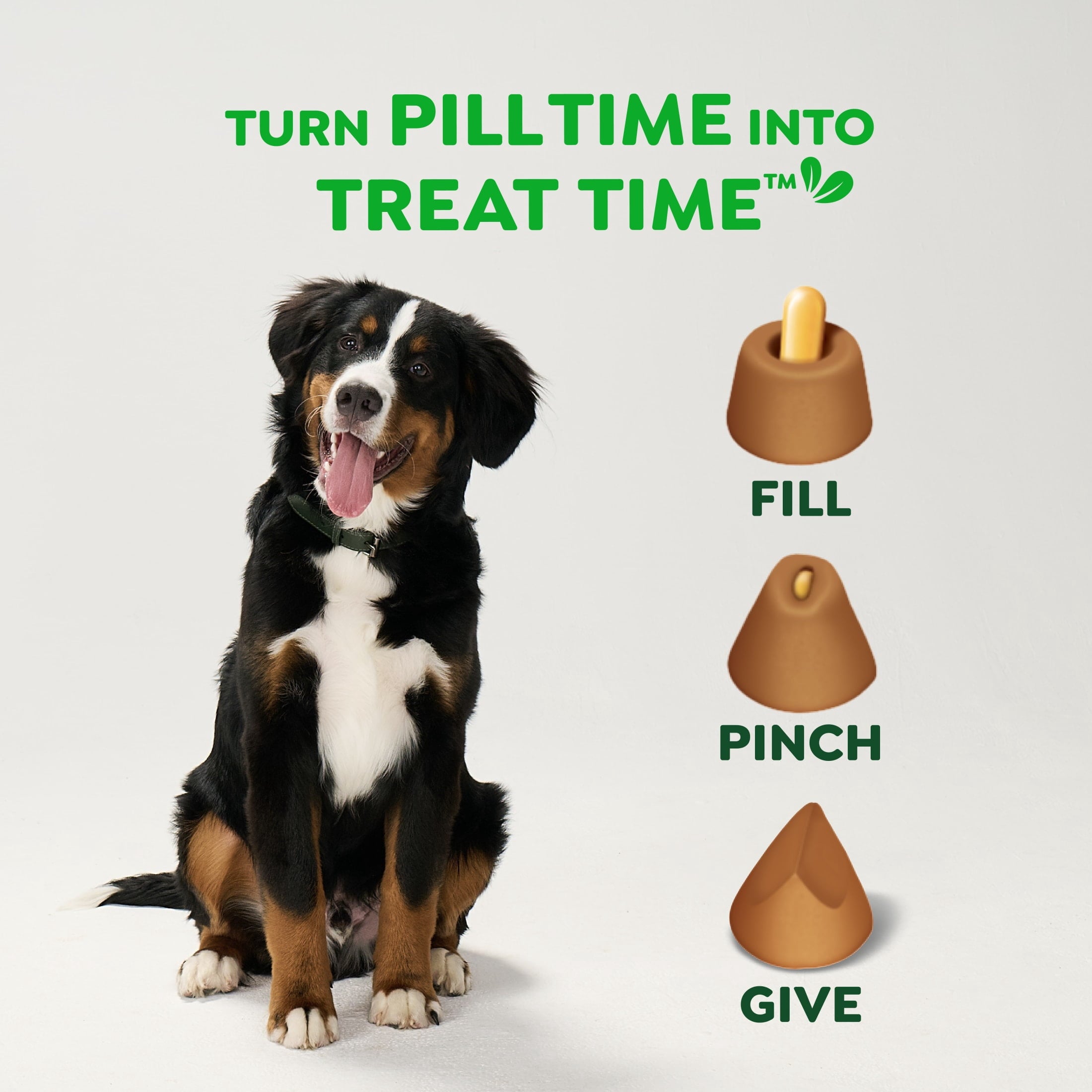 Greenies Pill Pockets Peanut Butter Flavor Dog Treats Large 7.9 oz Pouch