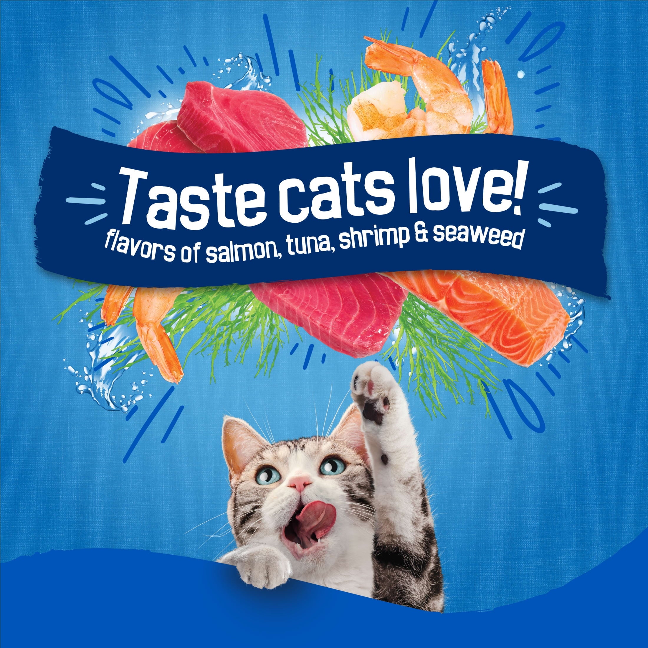 Purina Friskies Dry Cat Food Seafood Sensations with Salmon - Tuna, and Shrimp Flavors, 16 lb Bag