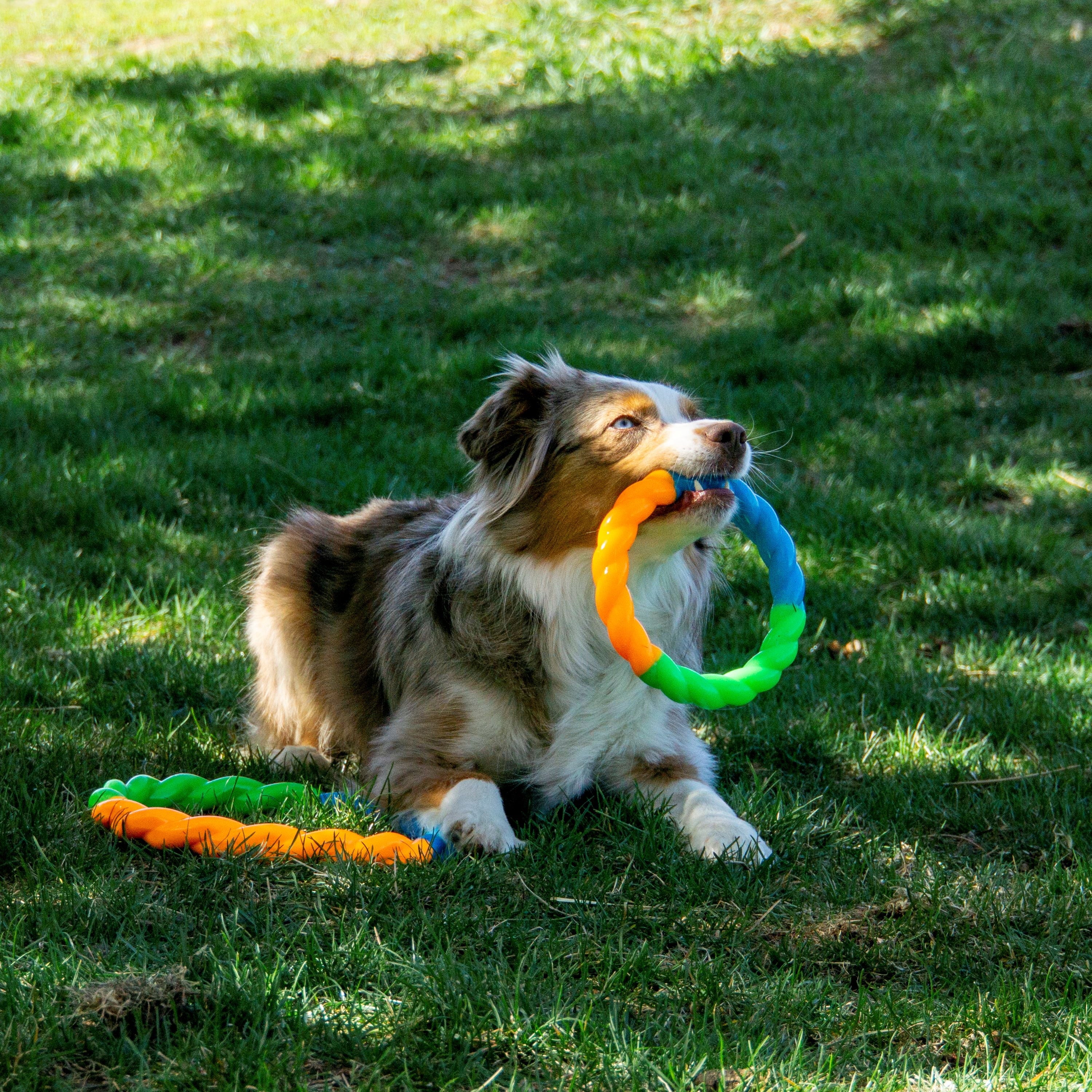 KONG® Twistz High Viz Durable Dog Toy - Glows in the Dark and Floats in Water, Small for Dogs up to 20lbs
