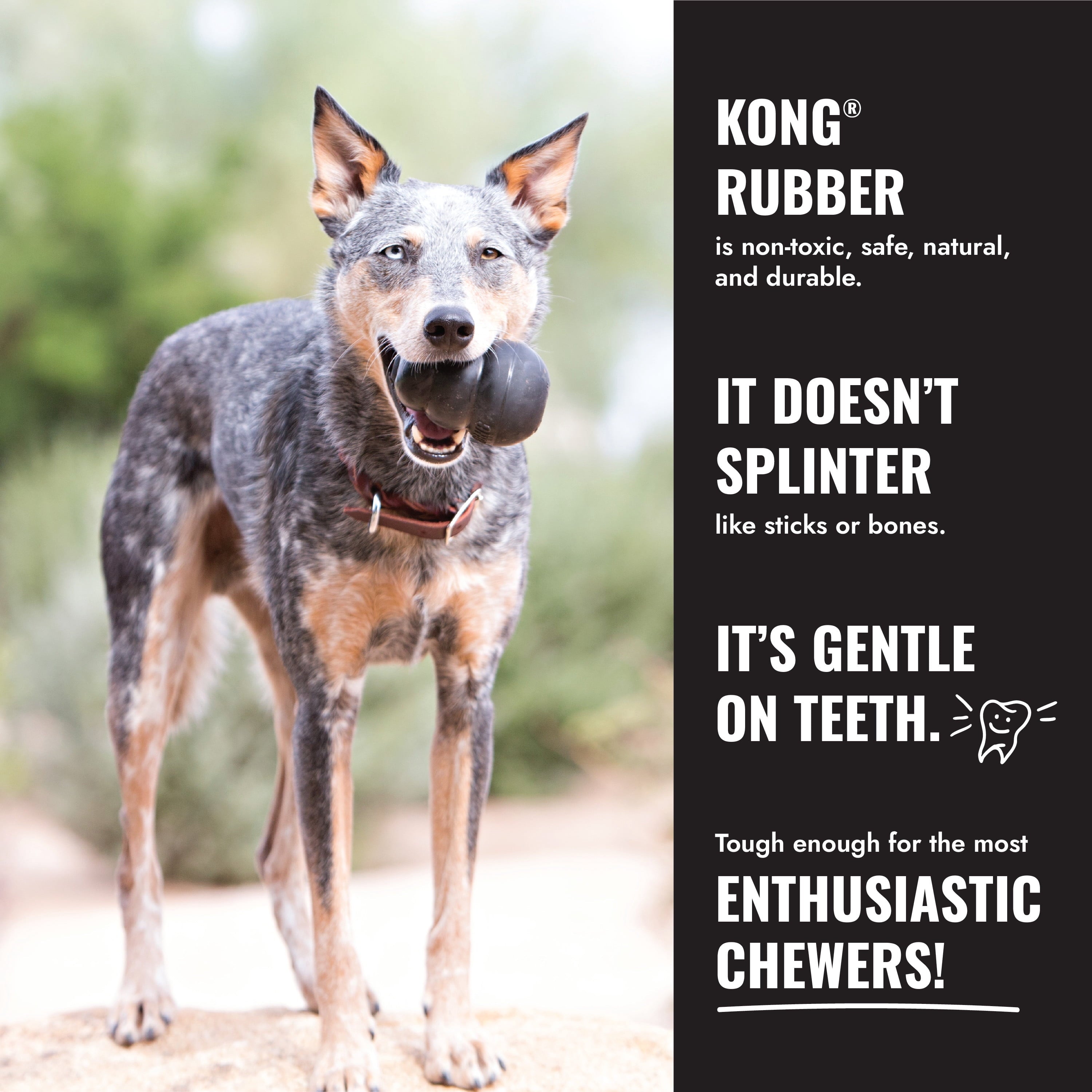 KONG Extreme Tire Durable Dog Toy - Black, Medium/Large for Dogs Between 30-65 lbs