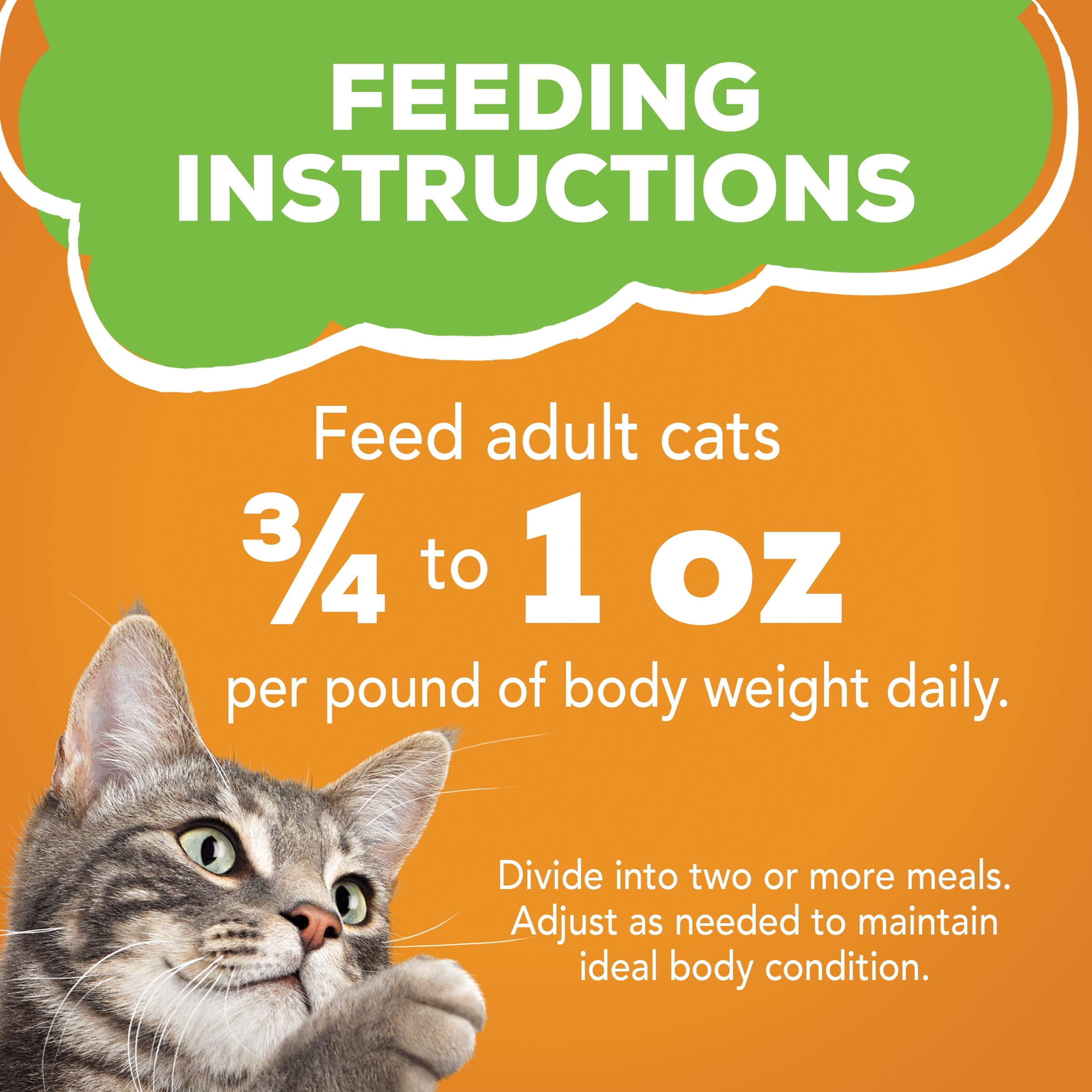 Purina Friskies Liver & Chicken Flavor Pate Wet Cat Food - 5.5 oz Can - 12-Pack