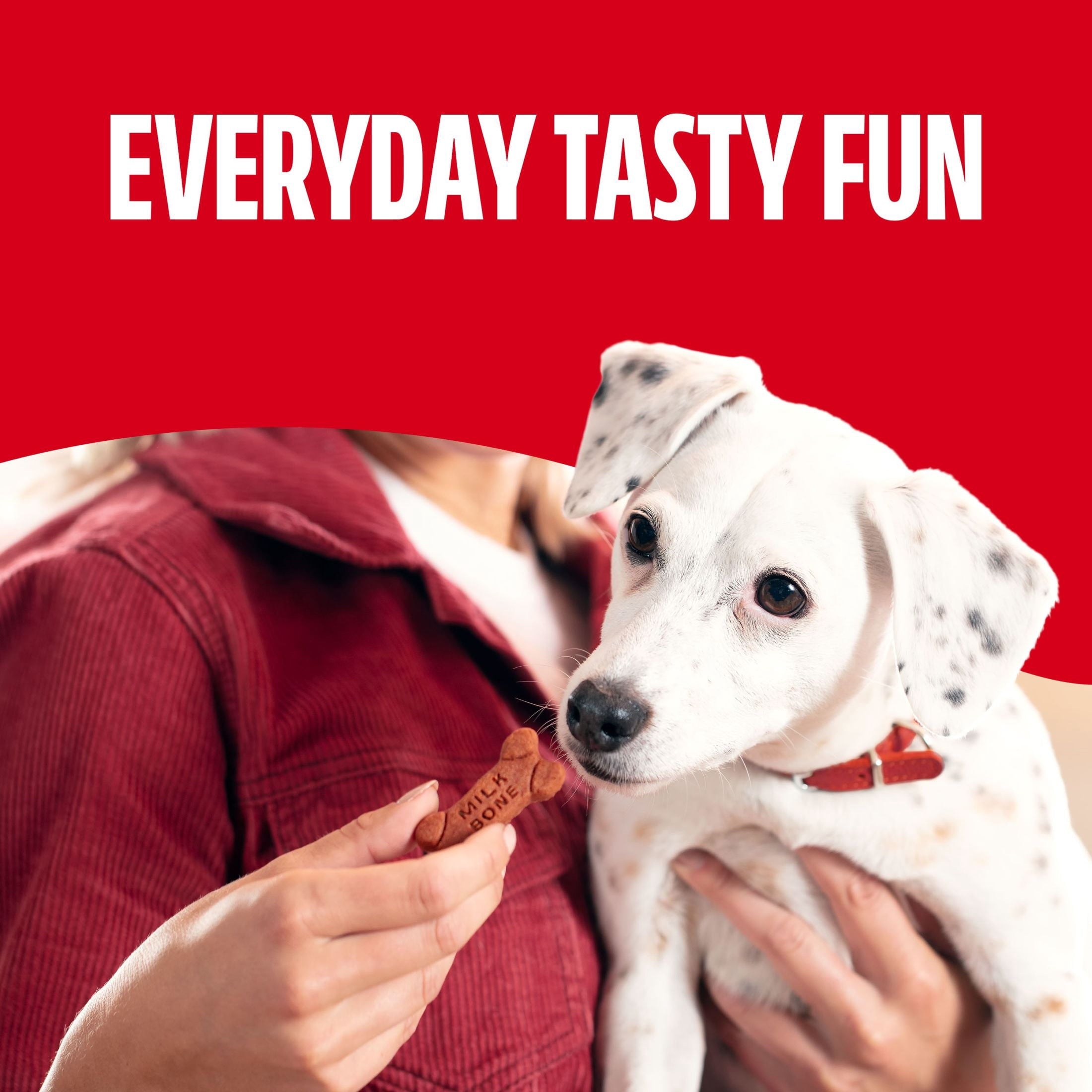 Milk Bone Soft & Chewy Dog Treats - Made with Real Beef & Filet Mignon, 25 oz Canister - 2-Pack