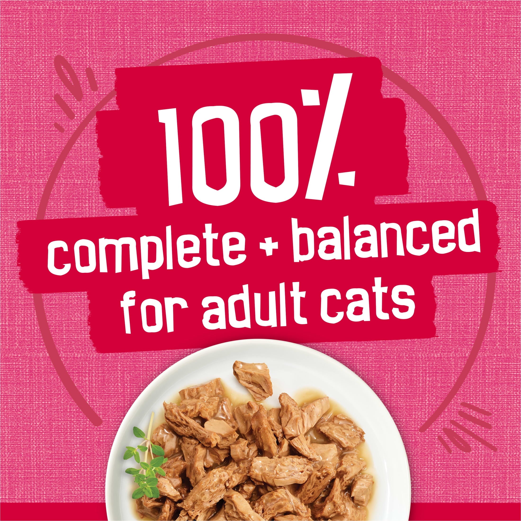 Purina Friskies Prime Filets - Salmon and Beef in Sauce, Wet Cat Food, 5.5 oz Can - 12-Pack