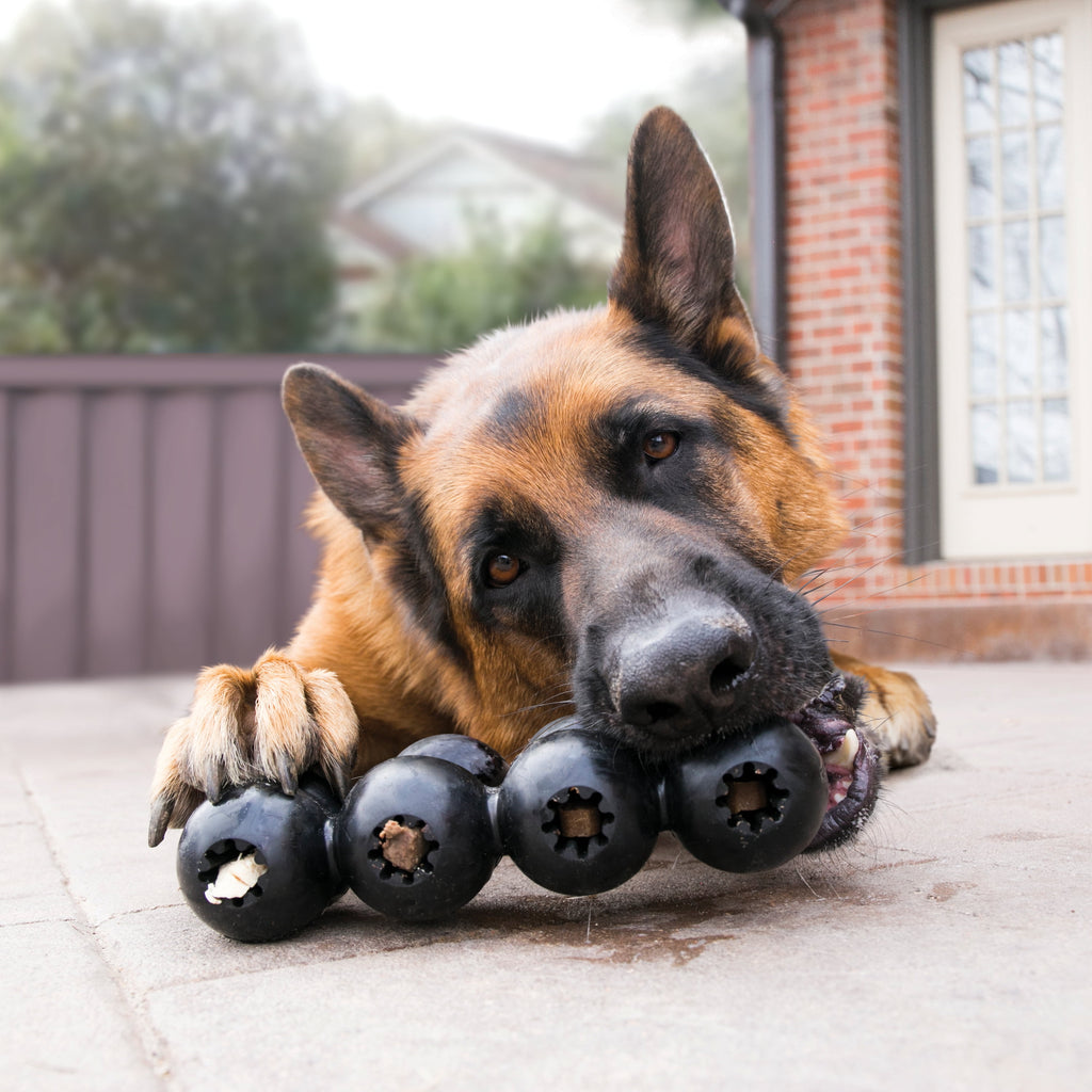 KONG® Extreme Rubber Goodie Ribbon Toy for Power Chewers - Medium for Dogs Between 15-35 lbs