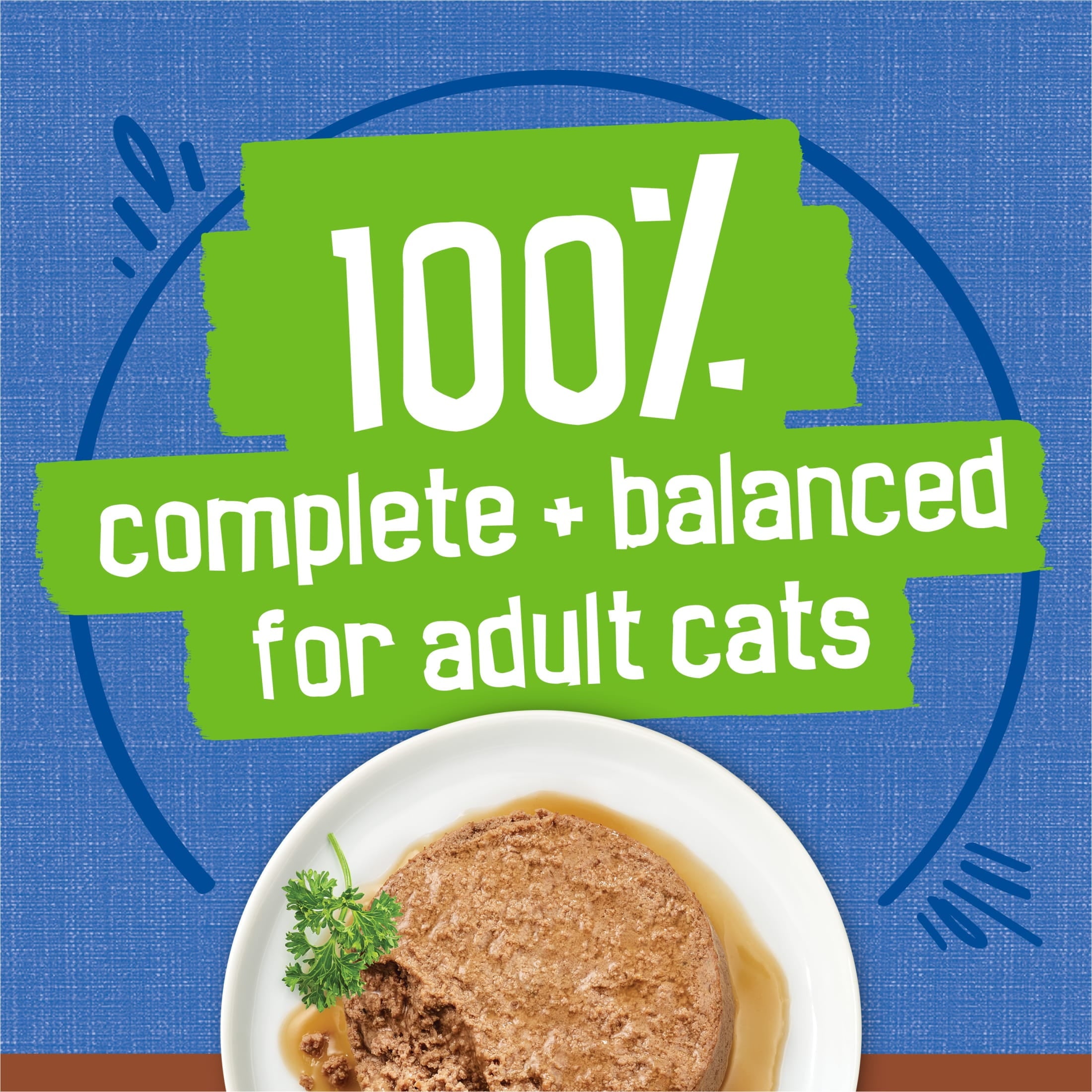 Purina Friskies Gravy Pate - Tuna, Wet Cat Food, 5.5 oz Can