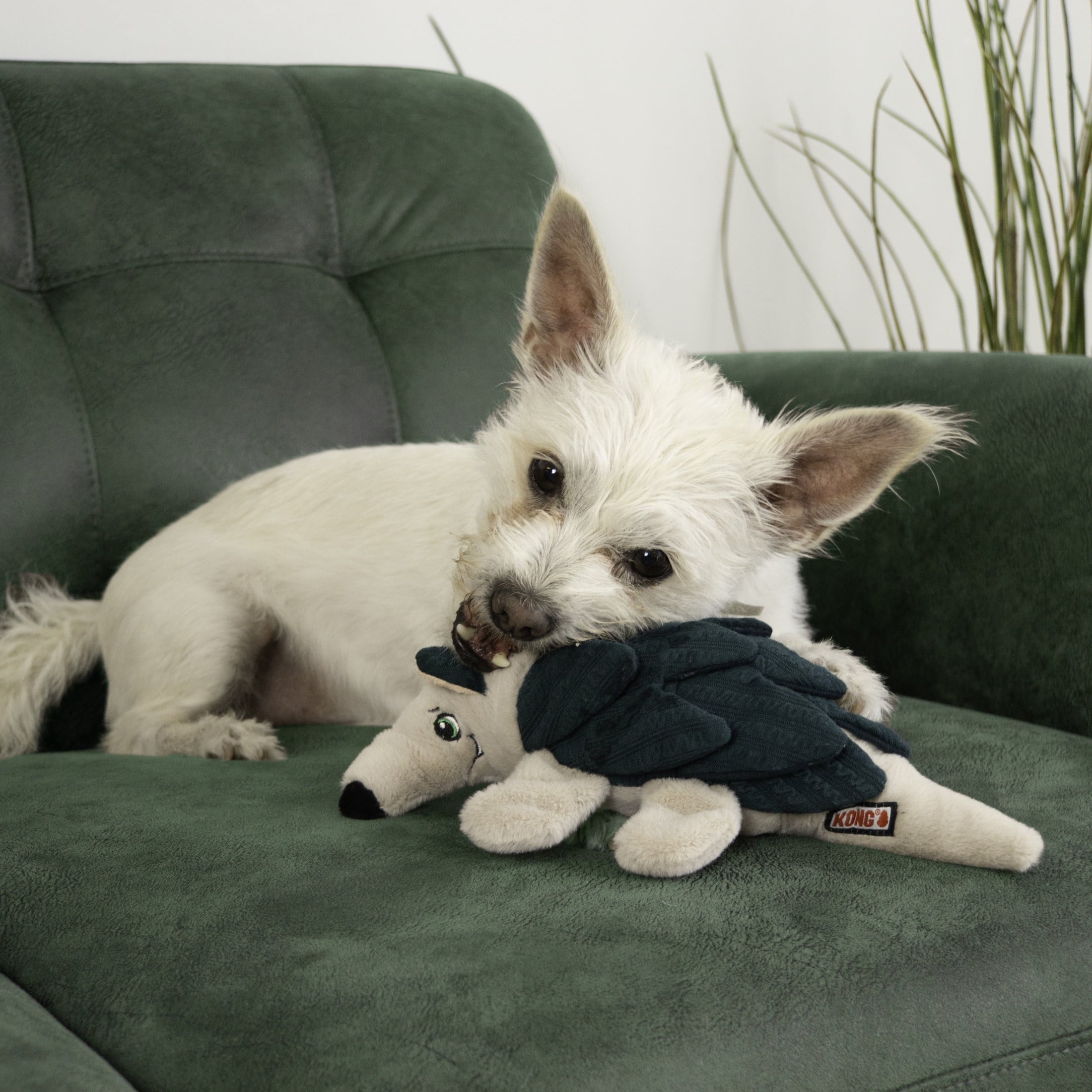 KONG® Layerz Forage Crackle and Squeaker Dog Toy - Armadillo, Medium