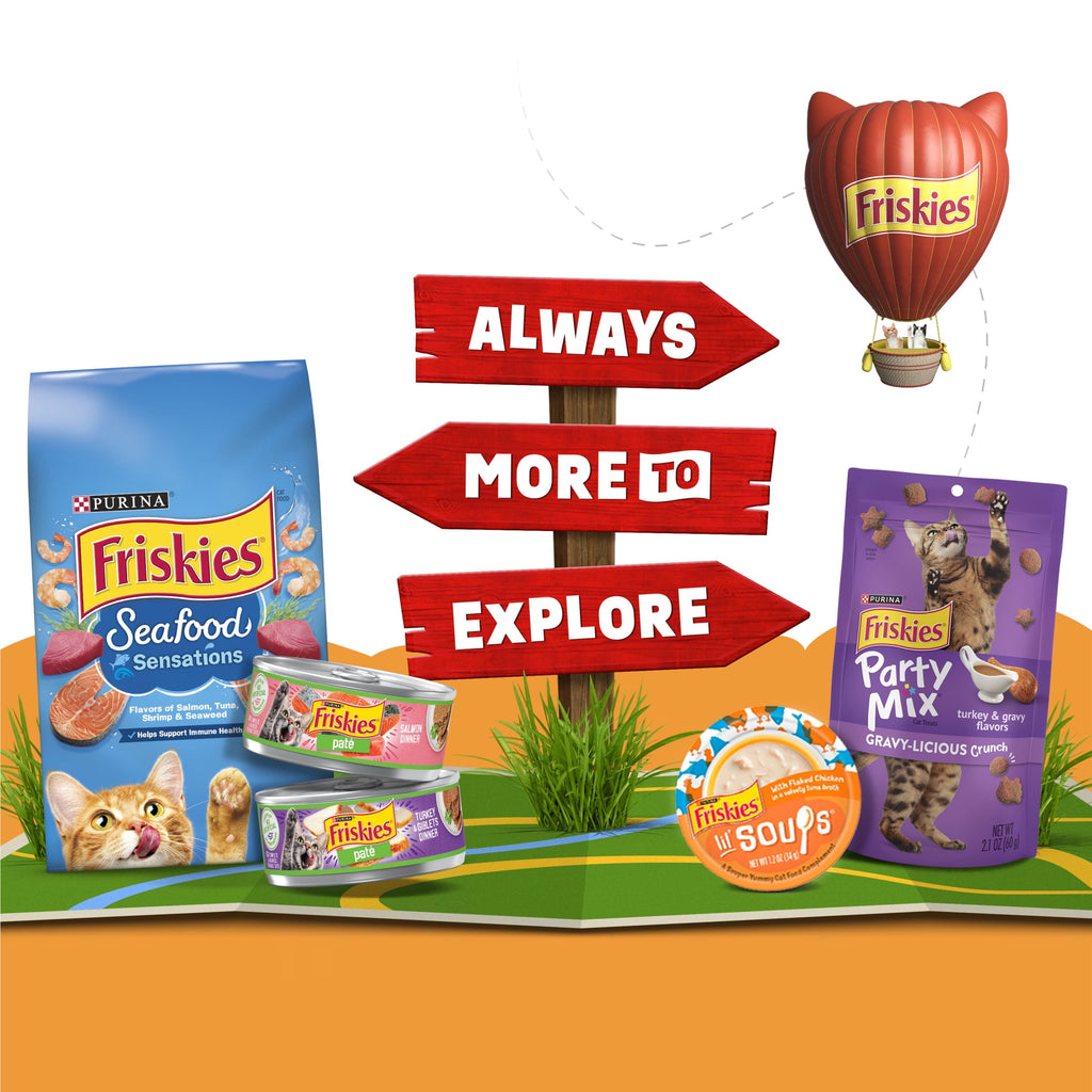 Purina Friskies Grain Free Lickable Cat Food Toppers Lil’ Soups With Sockeye Salmon in Chicken Broth - 1.2 oz Cups