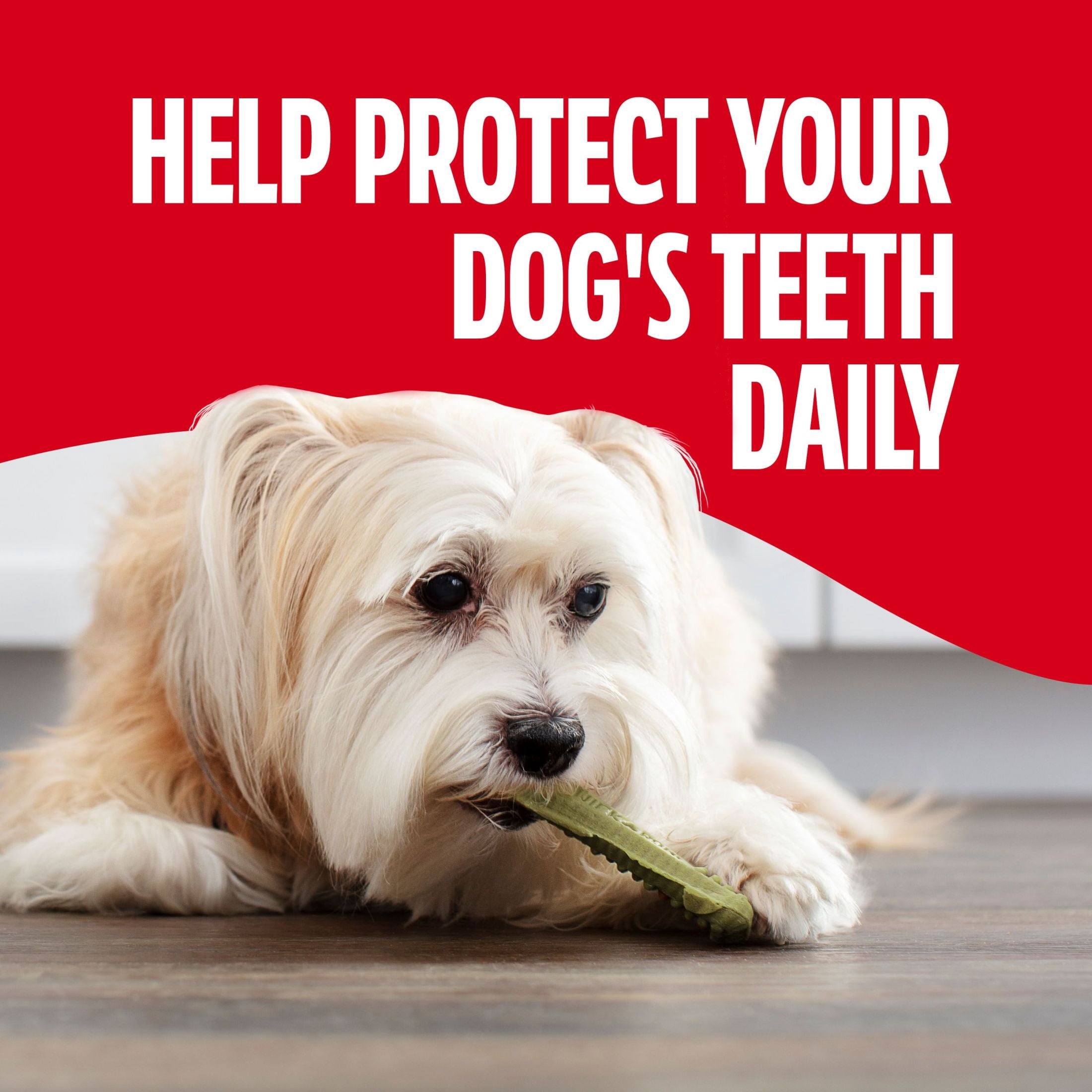 Milk Bone Brushing Chews Fresh Mint Flavor Daily Dental Dog Treats - Mini, 18.9 oz Bag - 2-Pack