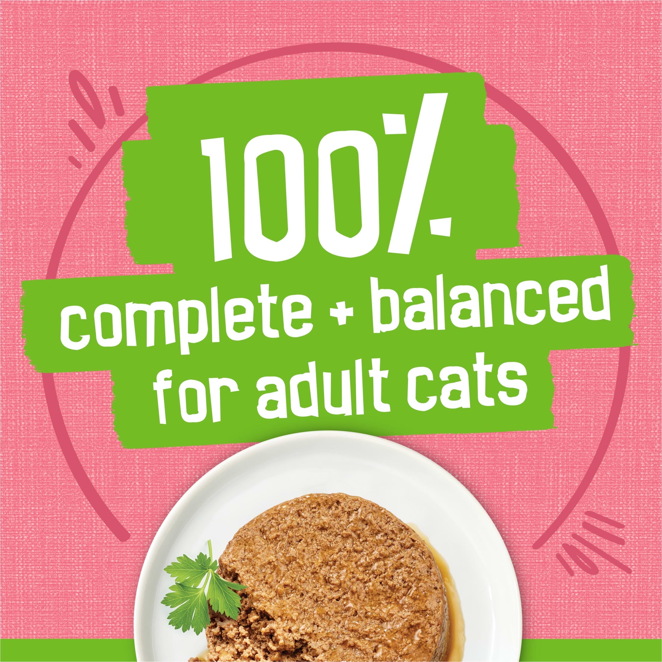 Purina Friskies Pate - Salmon, Wet Cat Food, 5.5 oz Can
