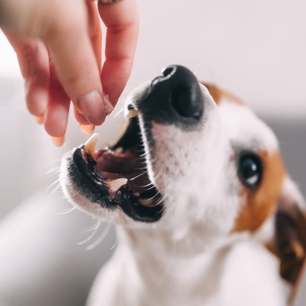 Dental Dog Treats - Brushing Chews - Small/Medium - Milk-Bone - MerlinsMart Zine + Rope Toy