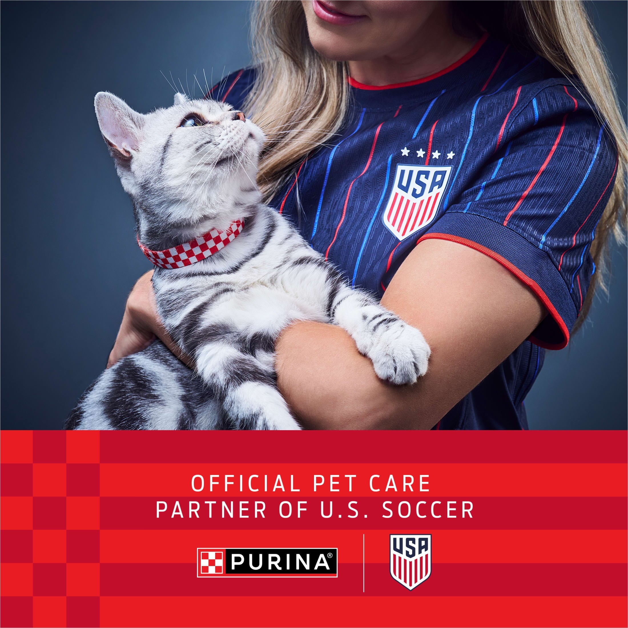 Purina Fancy Feast Cod - Sole and Shrimp Feast Classic Grain Free Wet Cat Food Pate, 3 oz.