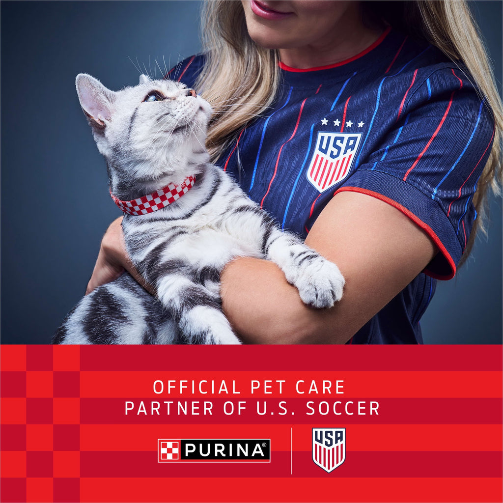 Purina Fancy Feast Tender Beef and Chicken Feast Classic Grain Free Wet Cat Food Pate - 3 oz.