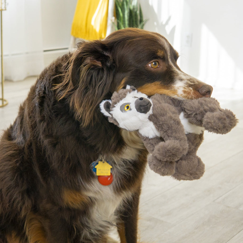 KONG® Scampers Squeaker Plush Dog Toy - Lemur, Medium