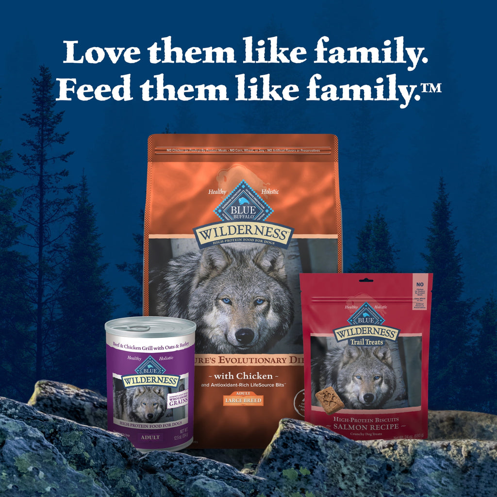 Blue Buffalo Wilderness High-Protein Adult Large Breed Dry Dog Food - Chicken, 28-lb.