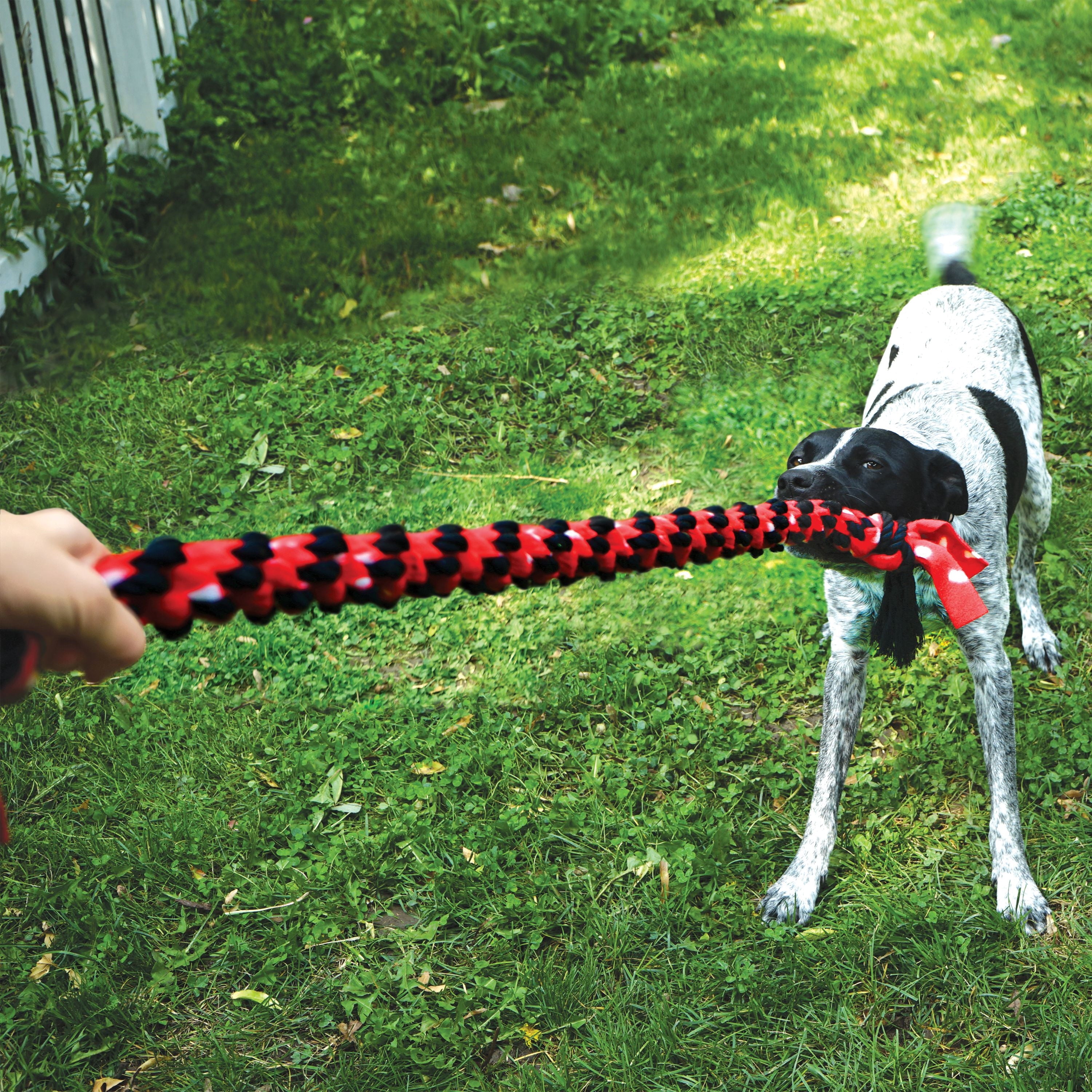 KONG® Signature Rope Double Tug Dog Toy - Large