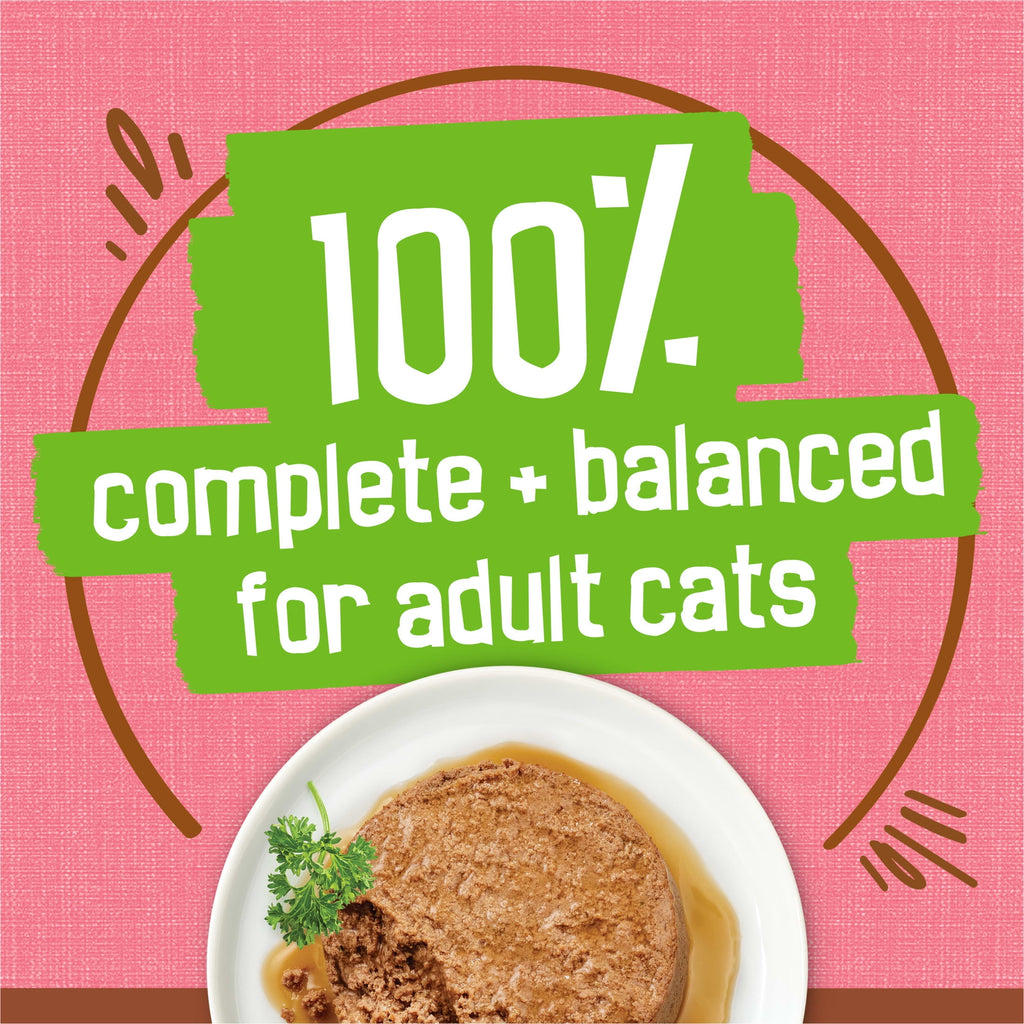 Purina Friskies Extra Gravy Pate With Salmon - Wet Cat Food, 5.5 oz Cans - 12-Pack