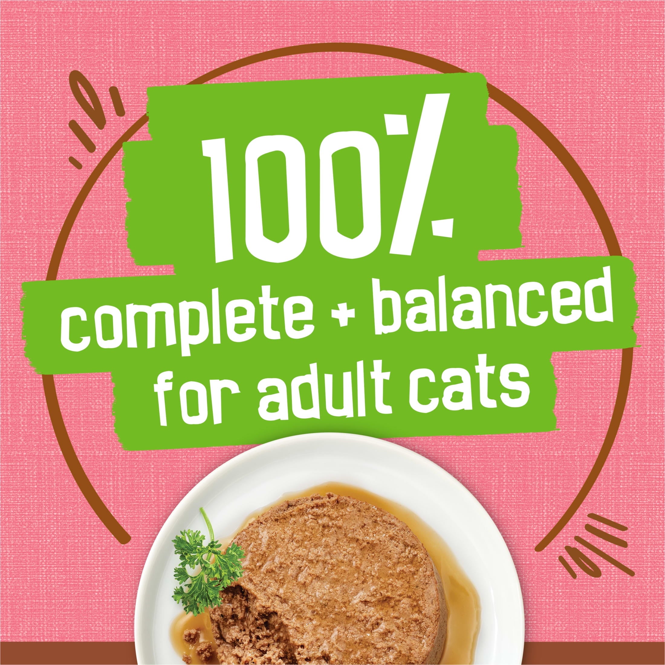 Purina Friskies Extra Gravy Pate With Salmon - Wet Cat Food, 5.5 oz Cans