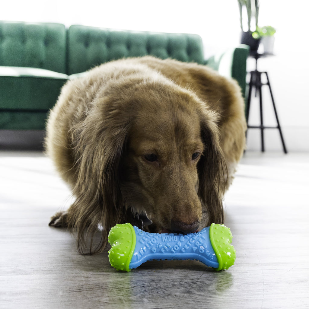 KONG® CoreStrength Bone - Small/Medium, for Dogs Between 15-30 lbs