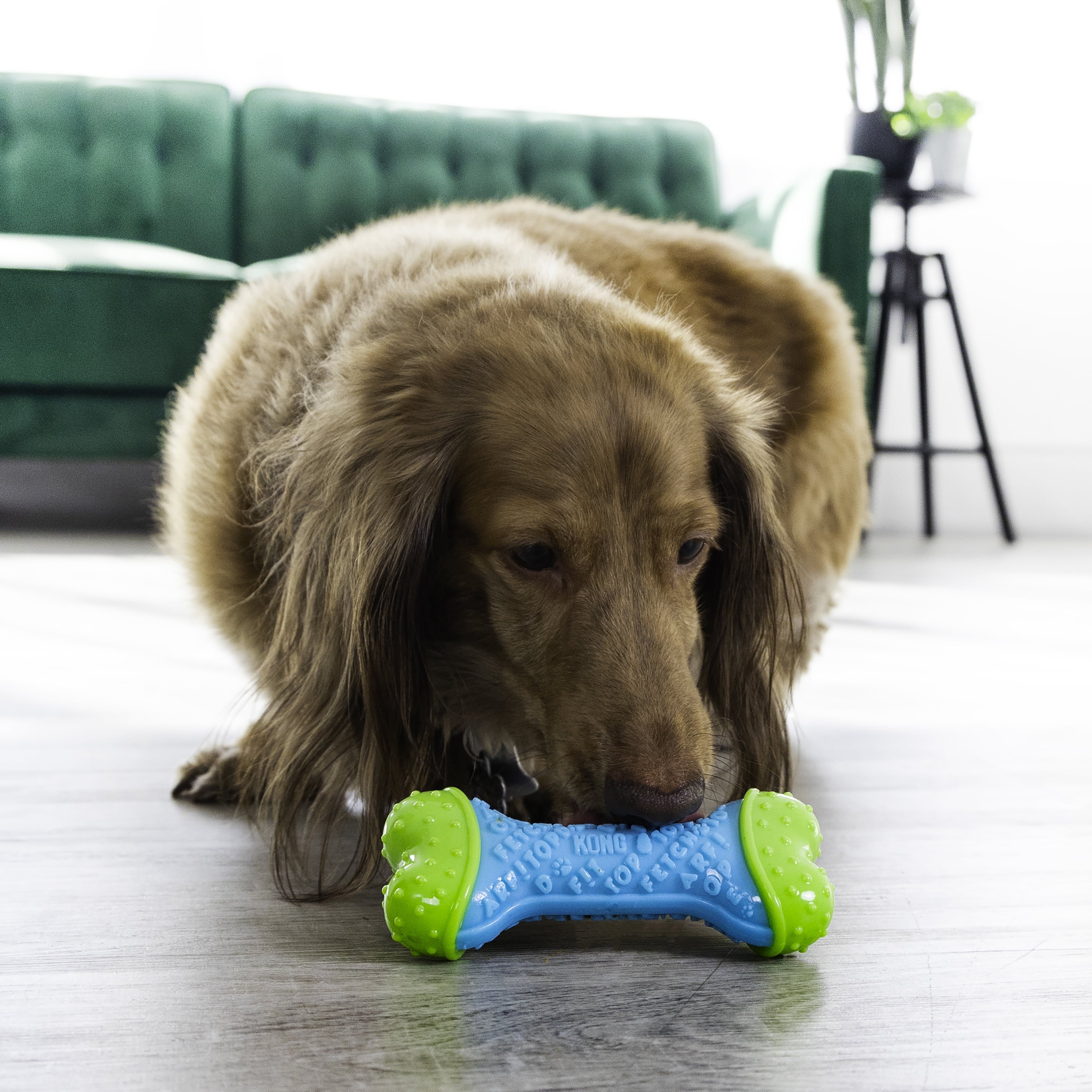 KONG® CoreStrength Bone - Small/Medium, for Dogs Between 15-30 lbs