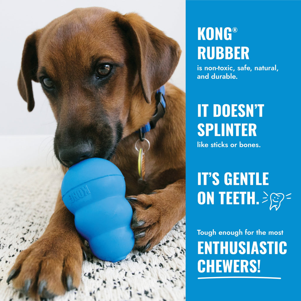 KONGÂ® Puppy Binkie Stuffable Dog Toy - Blue, Medium for Beginner Chewers