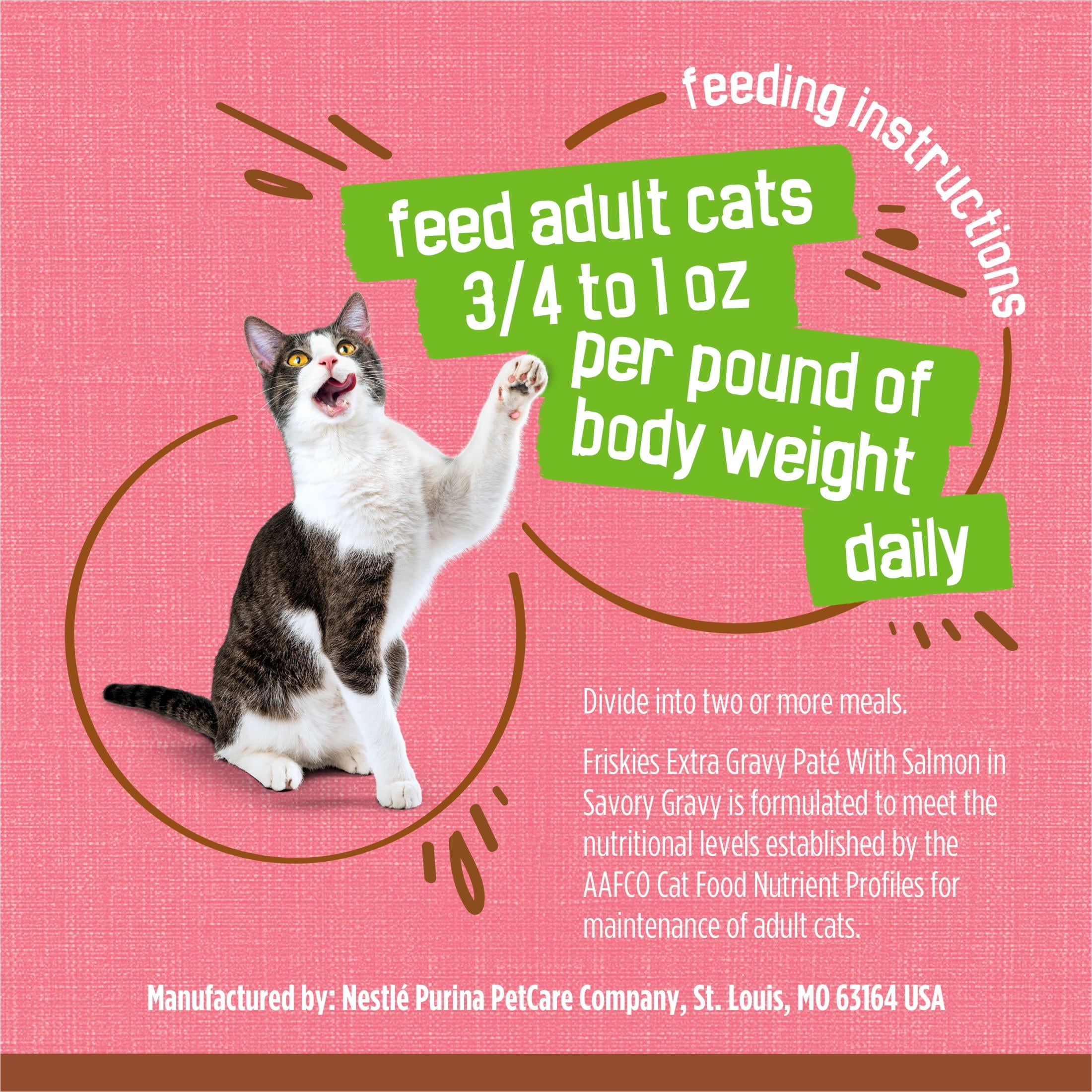 Purina Friskies Extra Gravy Pate With Salmon - Wet Cat Food, 5.5 oz Cans