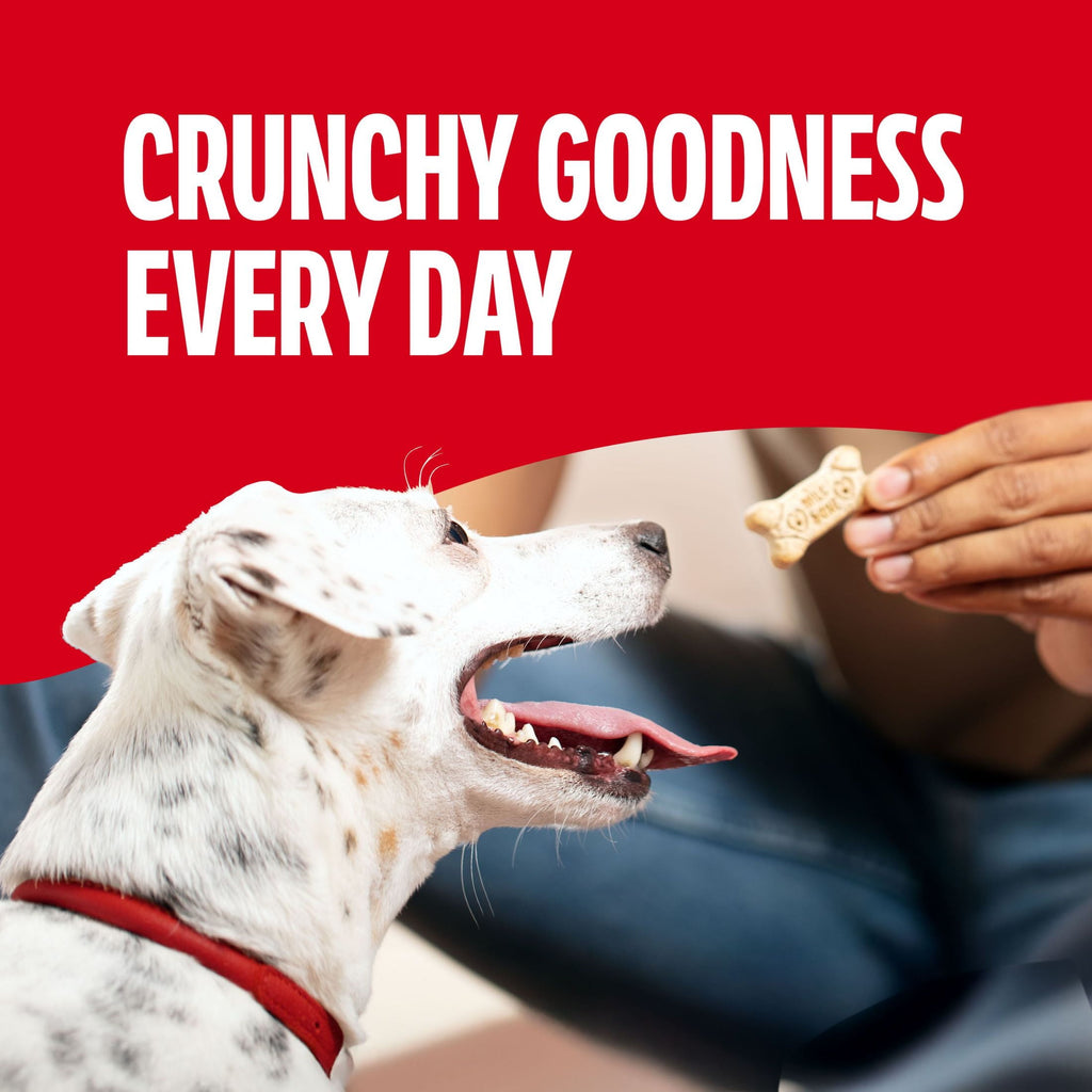 Milk Bone Original Small Dog Biscuits - Original Beef Flavor Dog Treats for Small Dogs, 24 oz Box