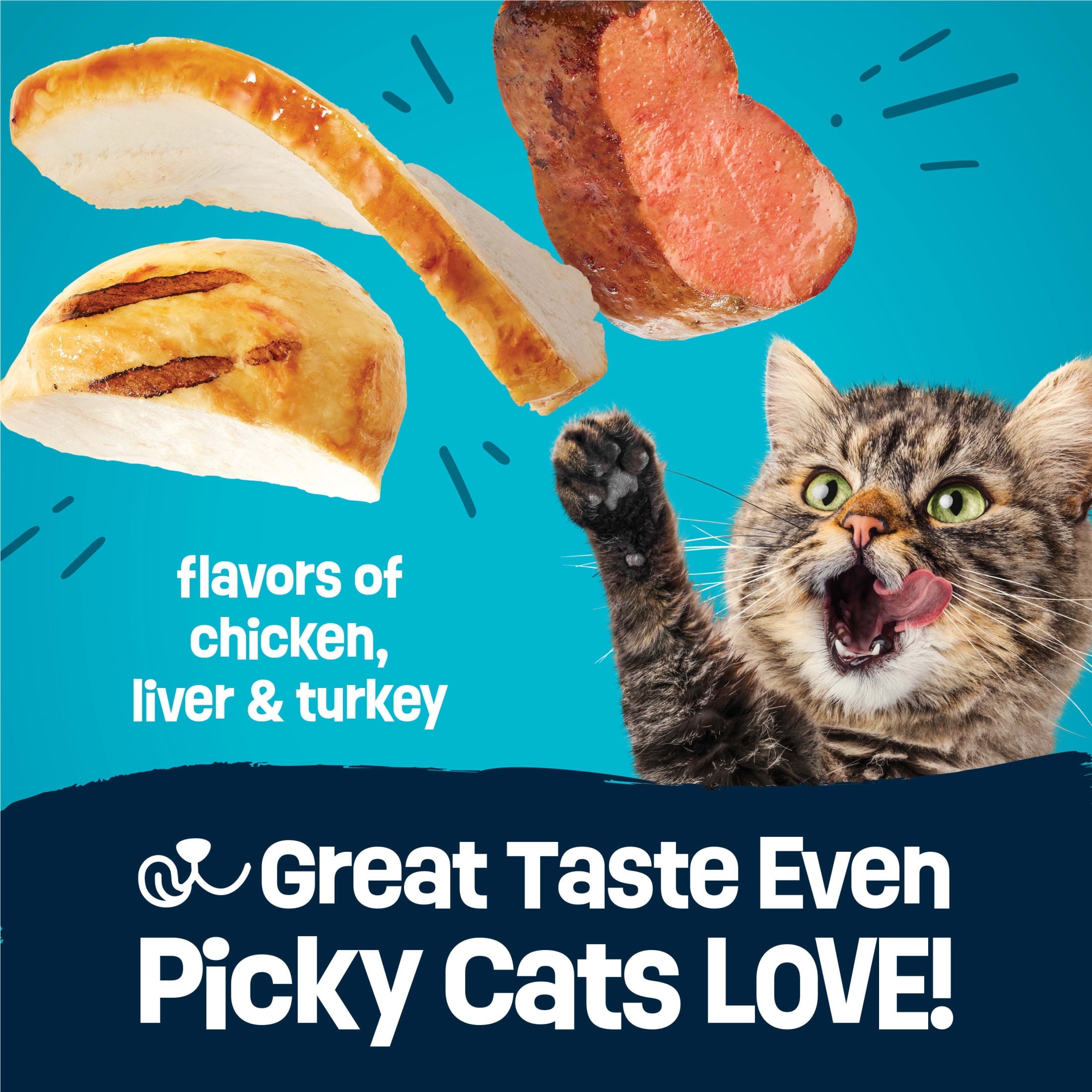 Purina Friskies Party Pack’d with Flavors of Chicken - Liver and Turkey Crunchy Dry Cat Food, 3 lb.