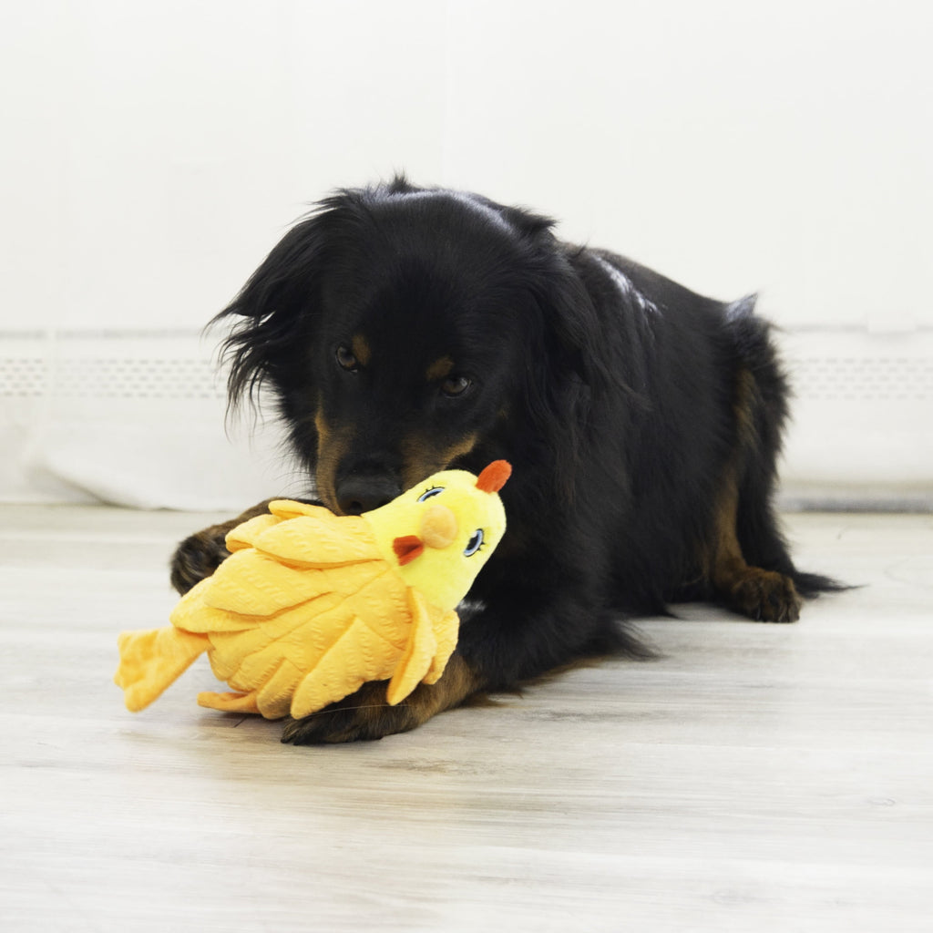 KONG® Layerz Forage Crackle and Squeaker Dog Toy - Hen, Medium