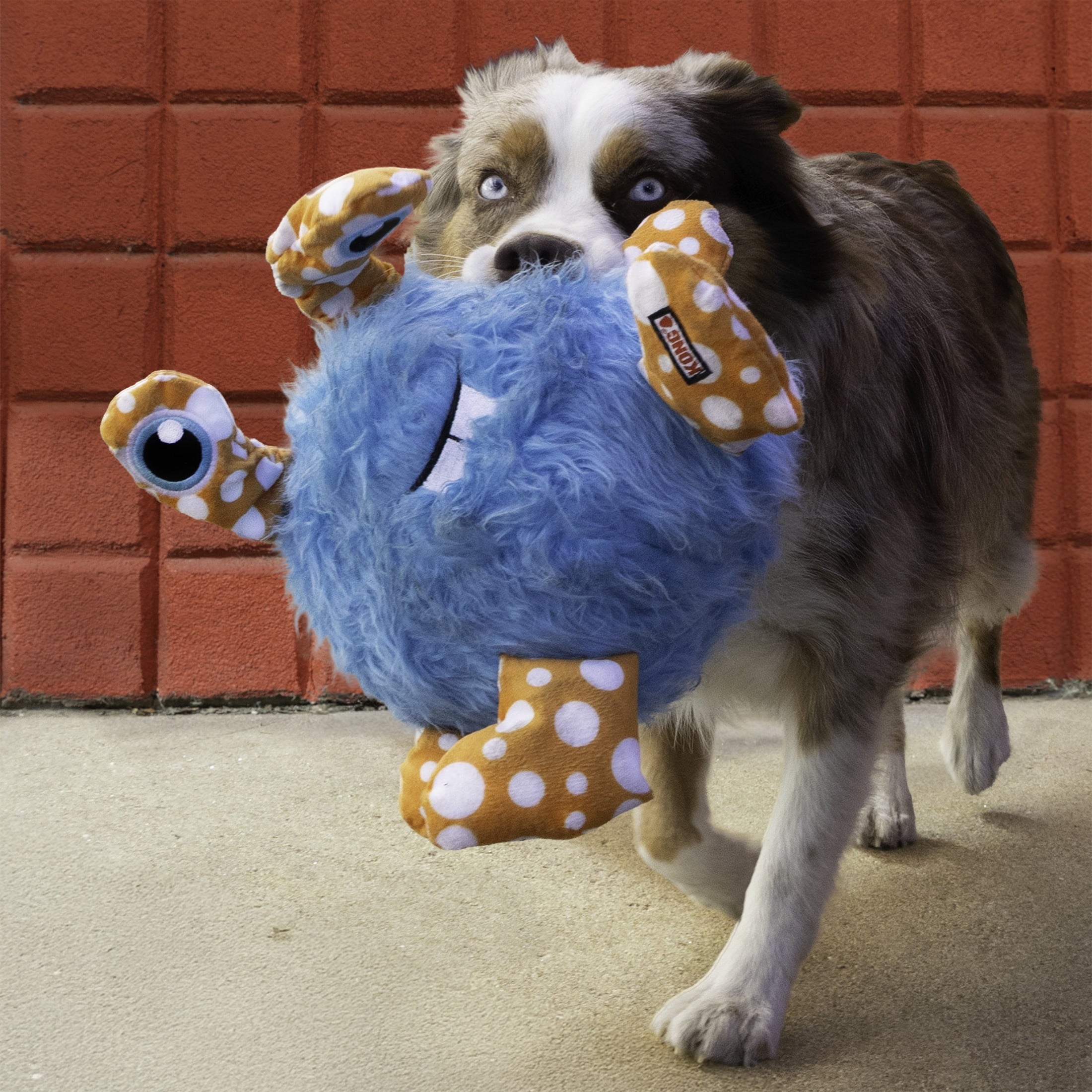 KONG® Whipples Squeaker Oversized Plush Dog Toy - Blue, Extra Large
