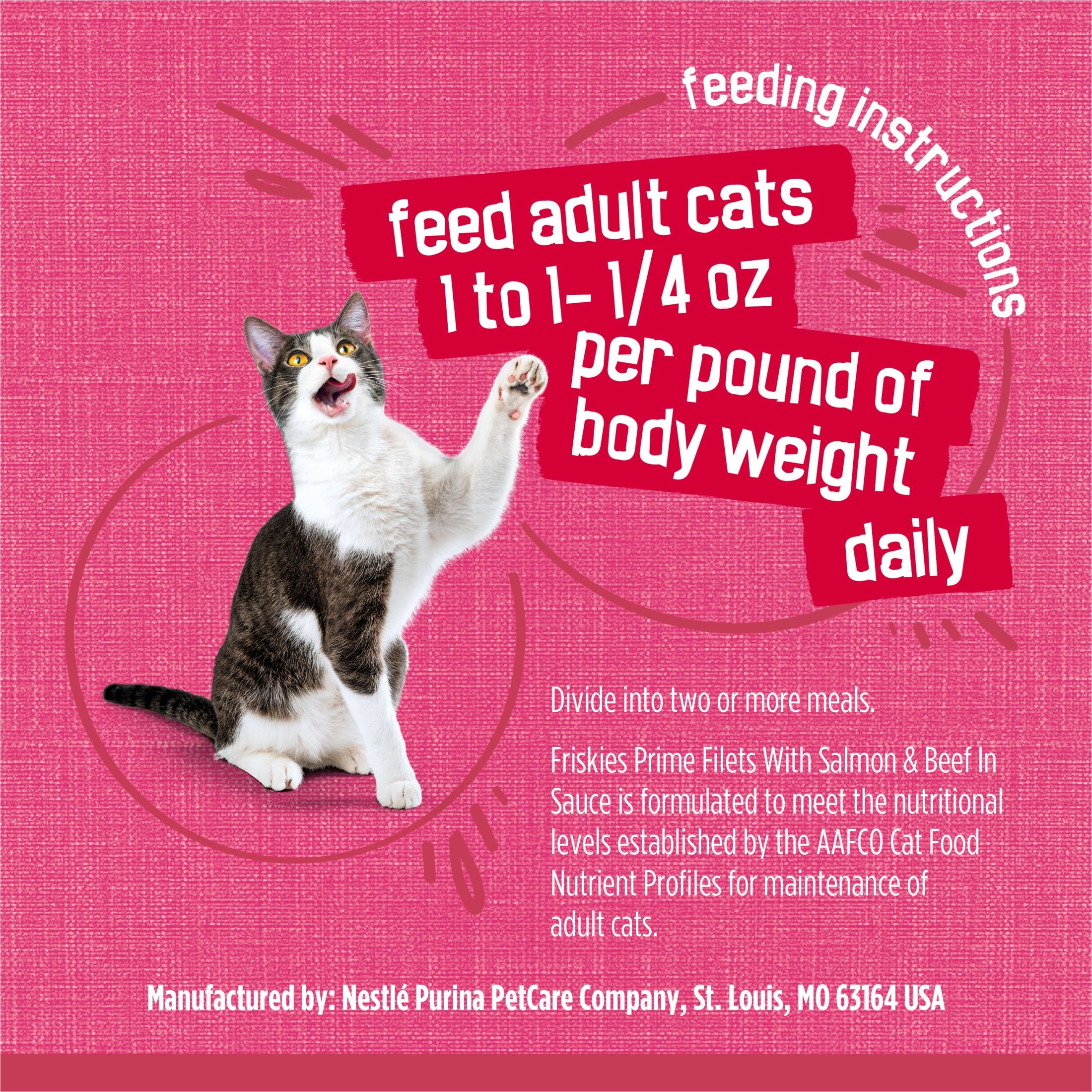 Purina Friskies Prime Filets - Salmon and Beef in Sauce, Wet Cat Food, 5.5 oz Can - 6-Pack
