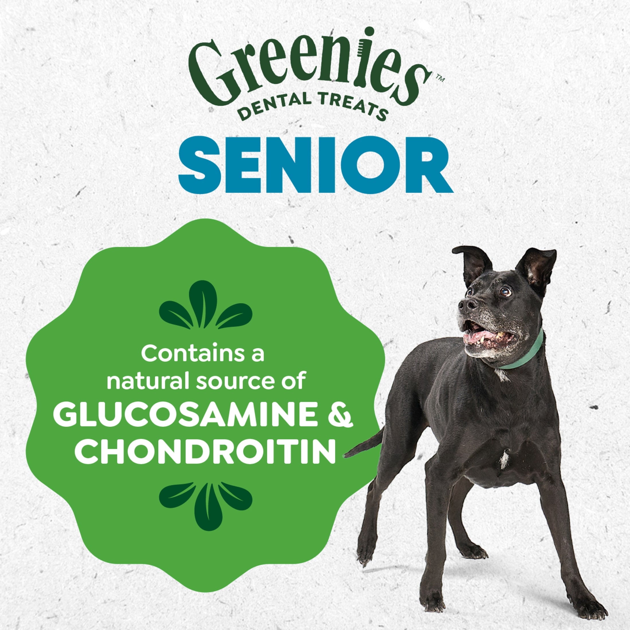 Greenies Aging Care Adult Natural Dental Dog Treats Regular Size - 27 oz Pack (27 Count)