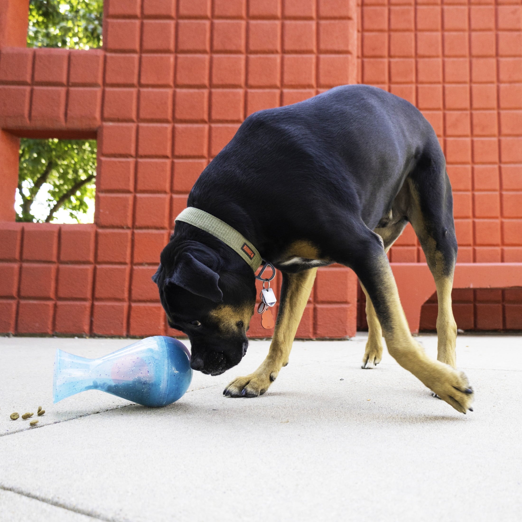 KONG® Rewards Tipsy Food Dispensing Toy for Dogs - 2 Challenge Levels, Large
